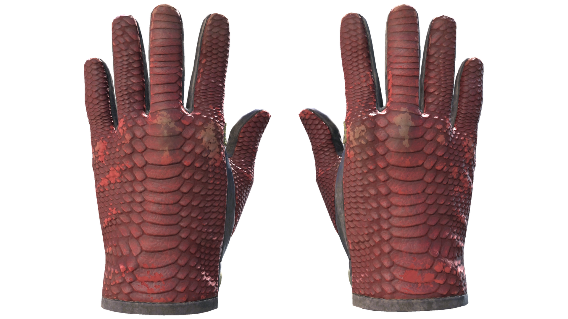 Dragon Fists image