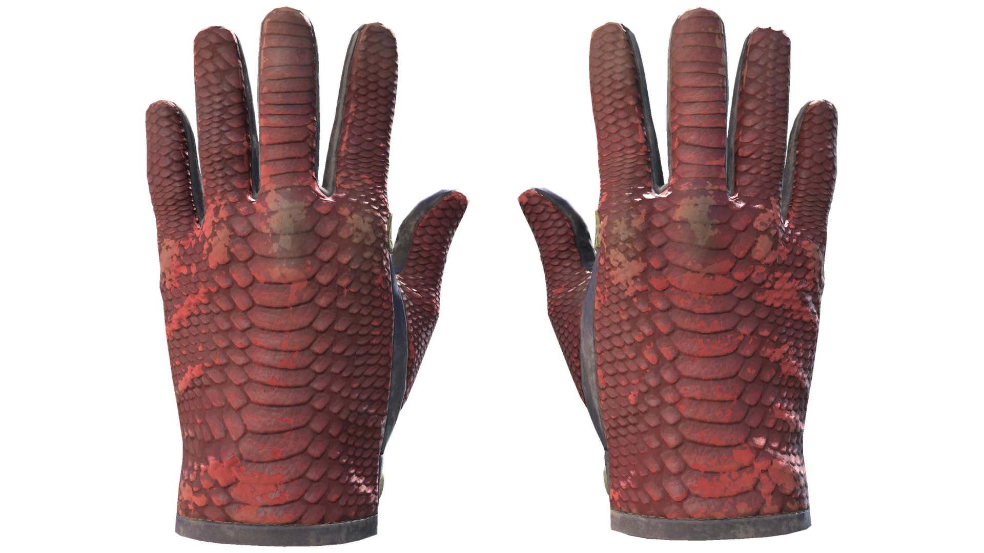 Dragon Fists image