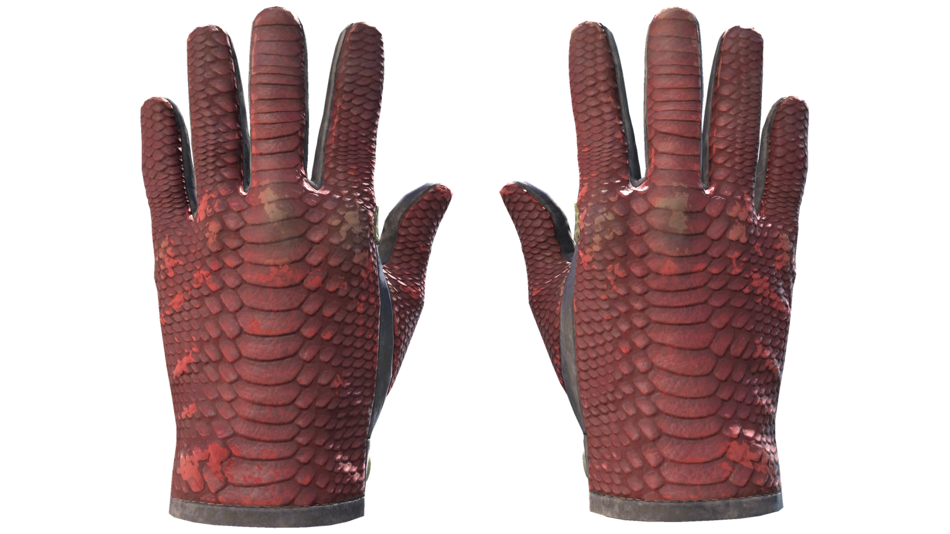 Dragon Fists image