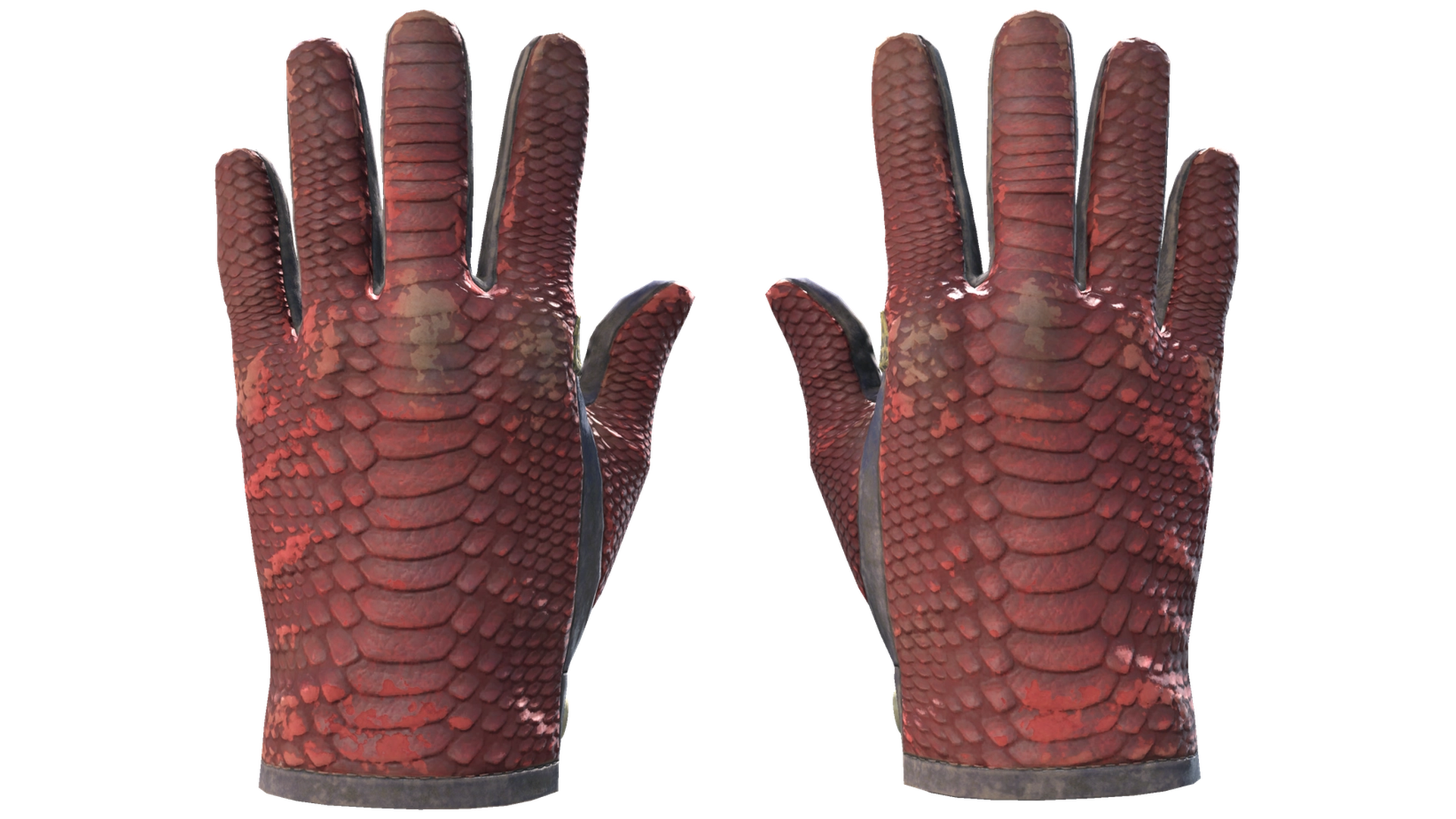 Dragon Fists image