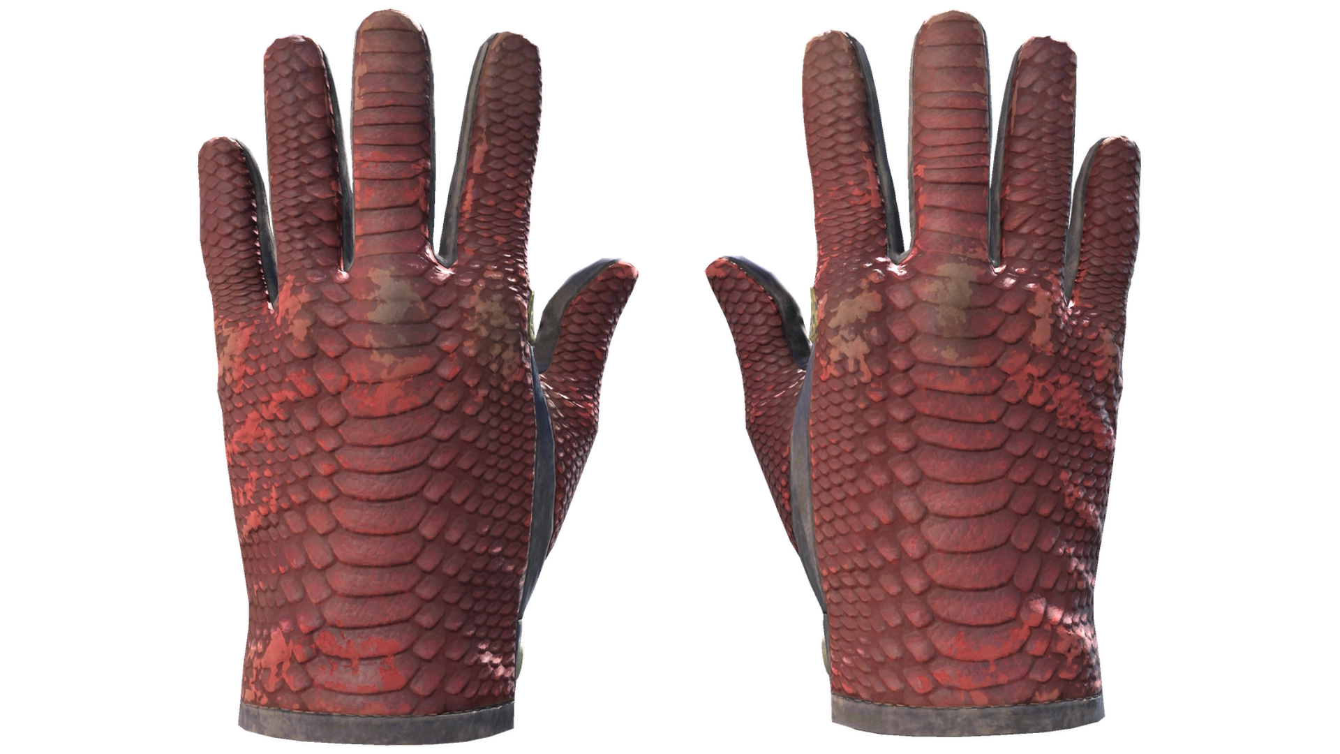 Dragon Fists image