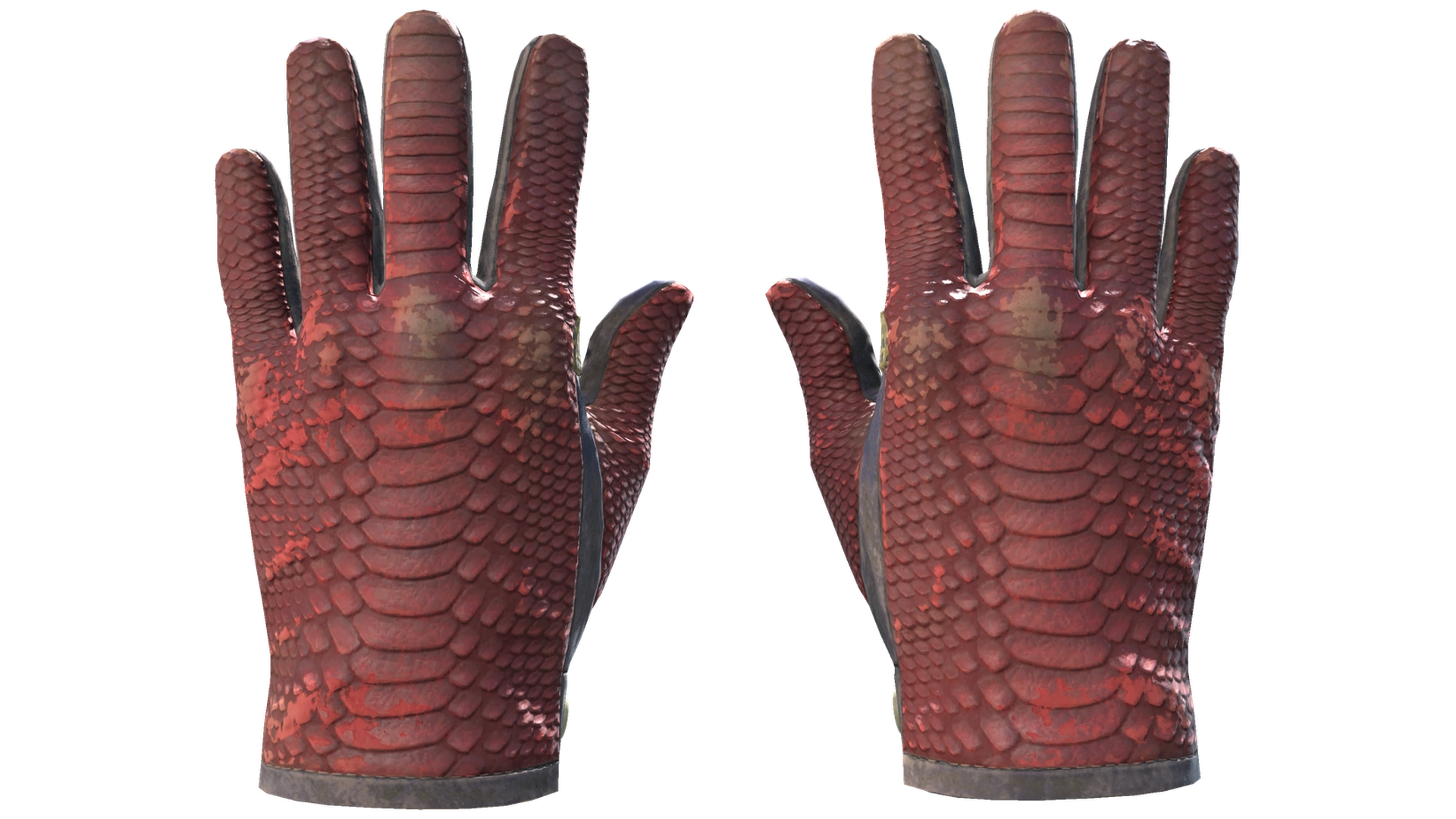 Dragon Fists image