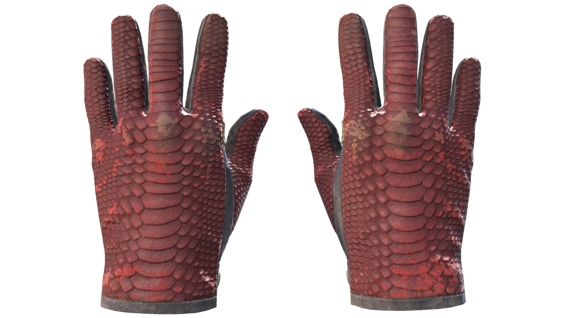Dragon Fists image