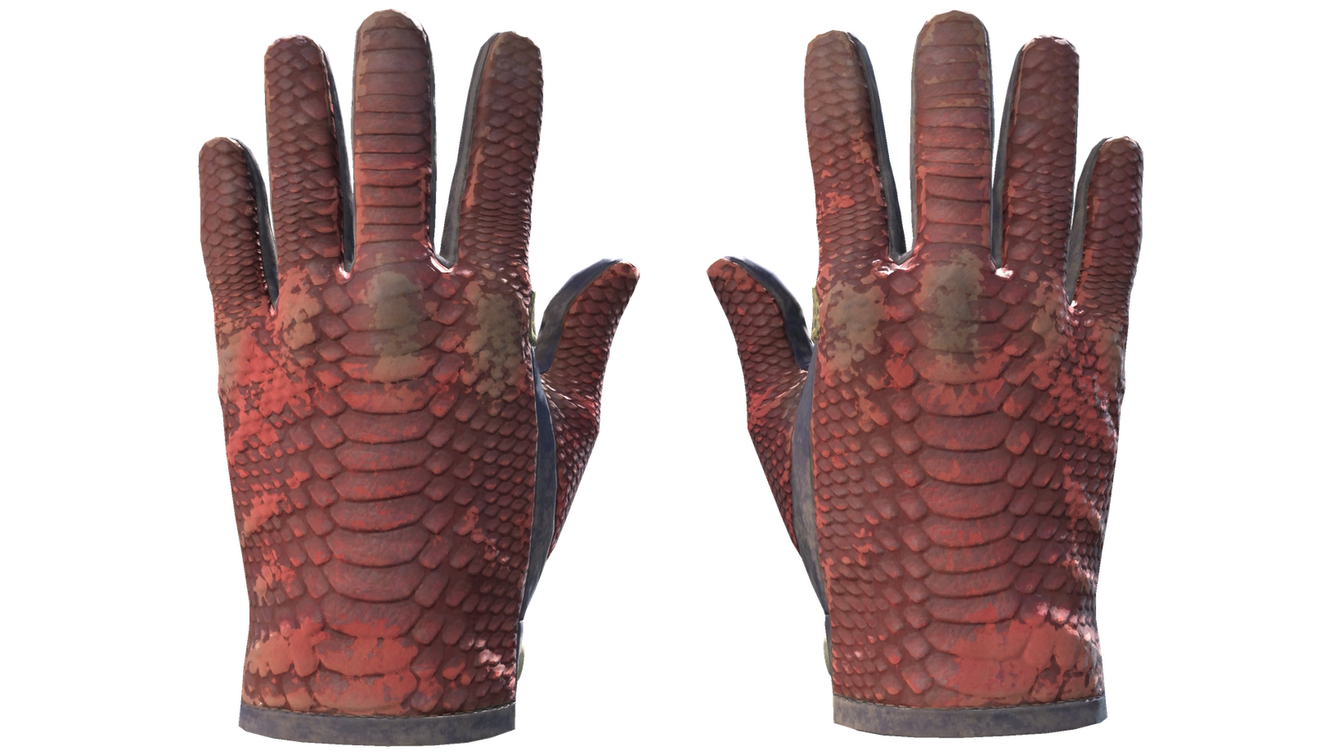 Dragon Fists image
