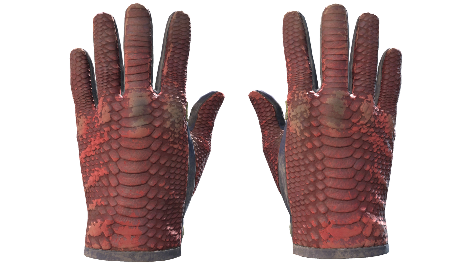 Dragon Fists image