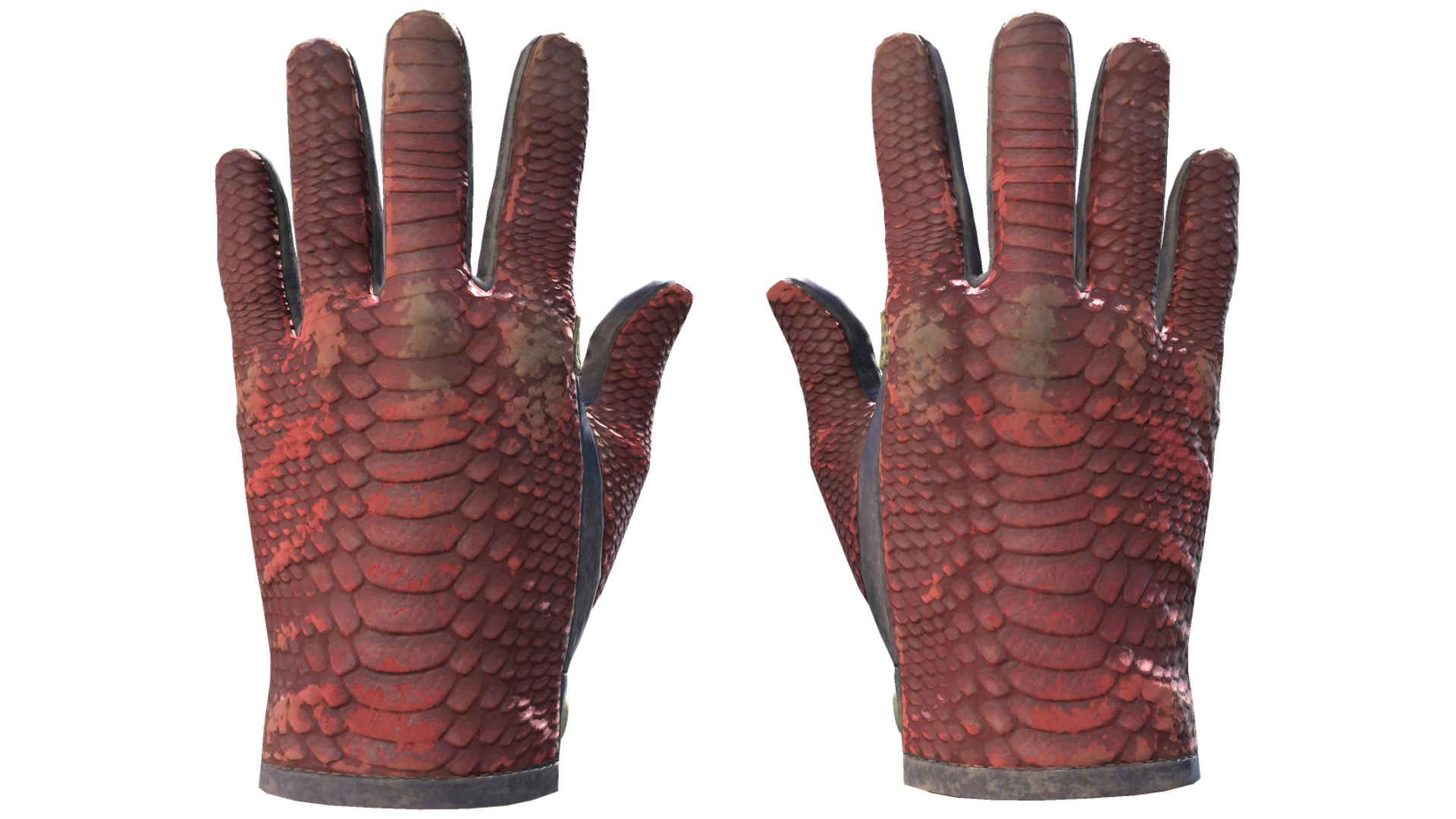 Dragon Fists image