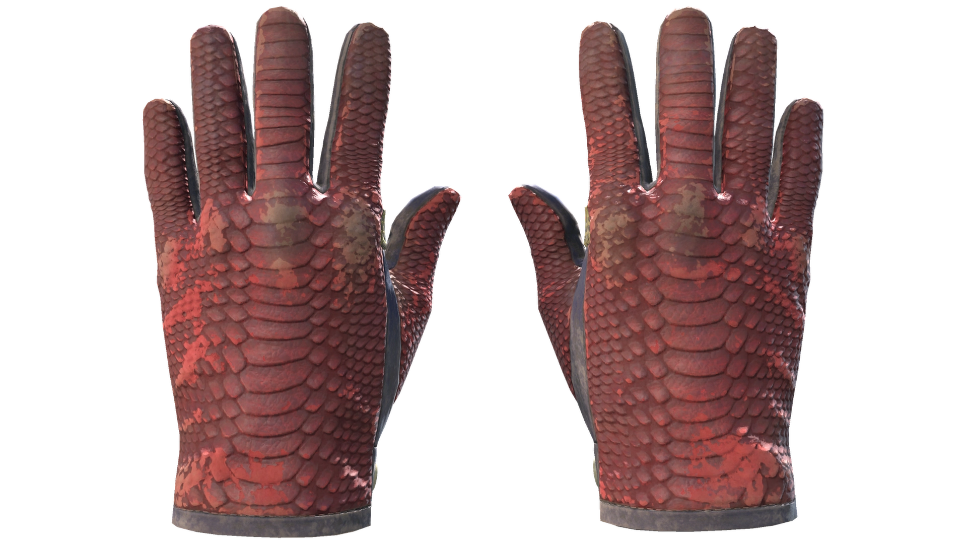 Dragon Fists image