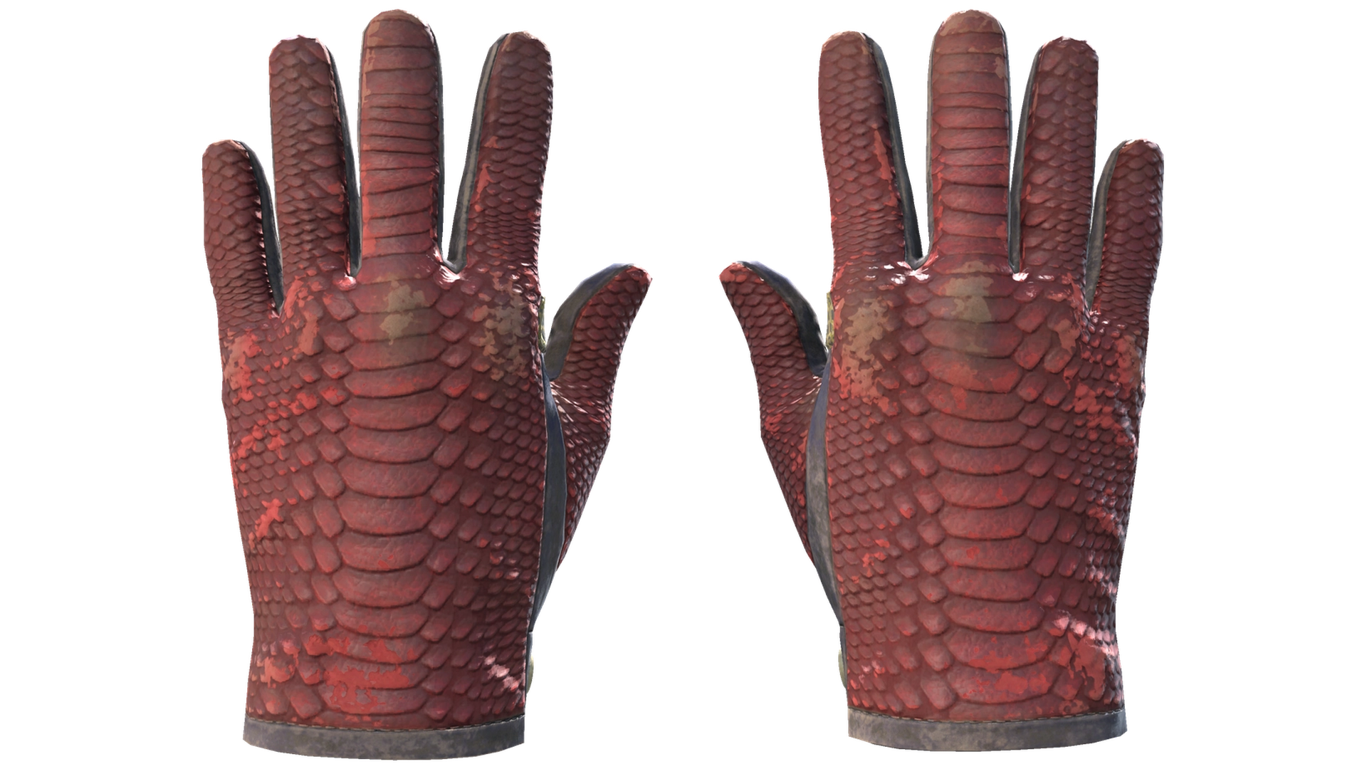 Dragon Fists image