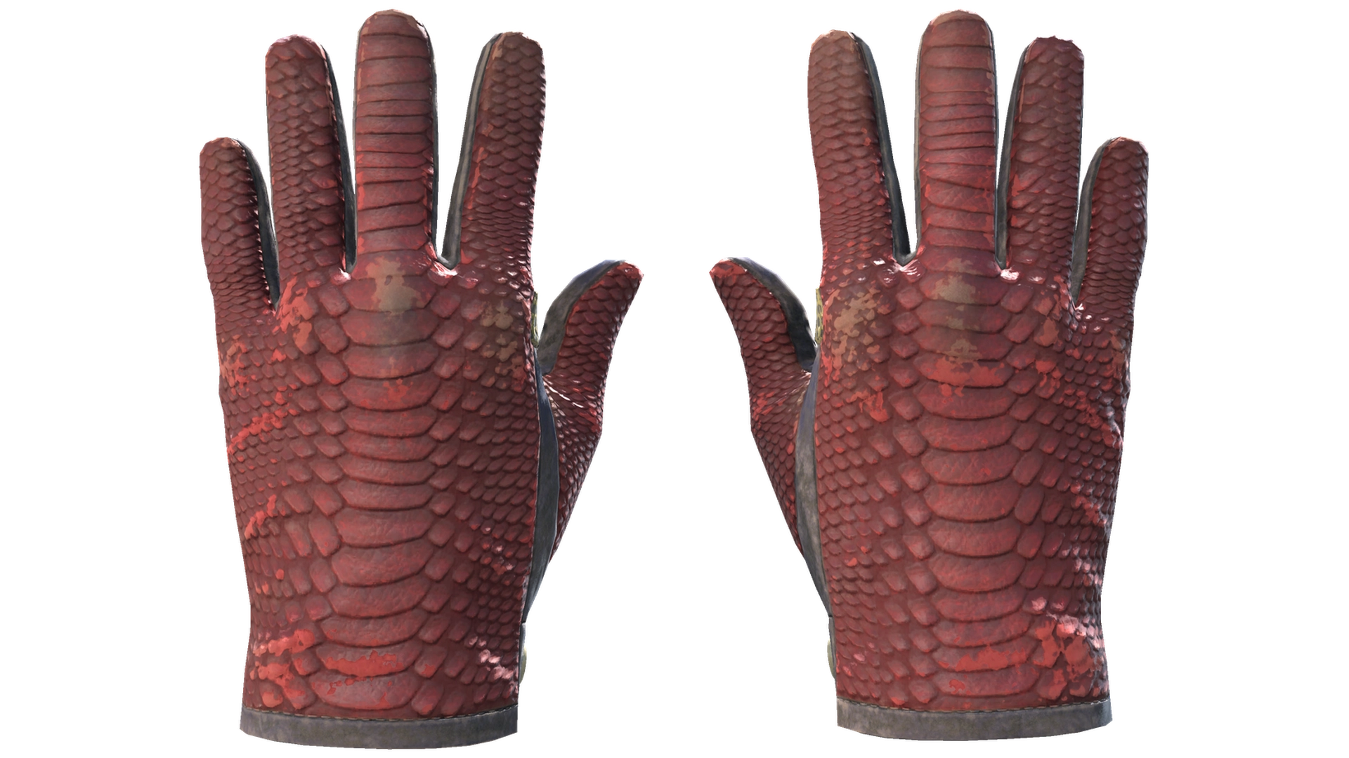 Dragon Fists image
