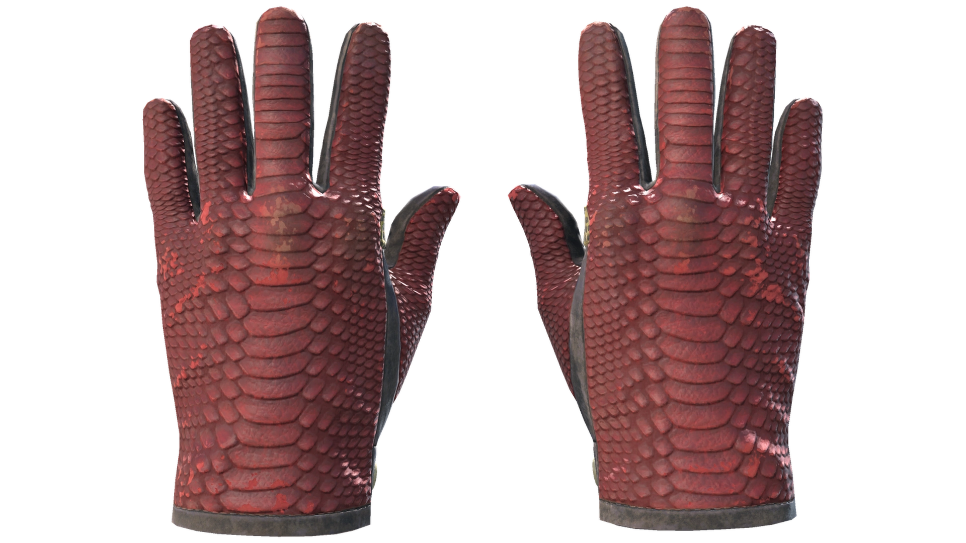 Dragon Fists image