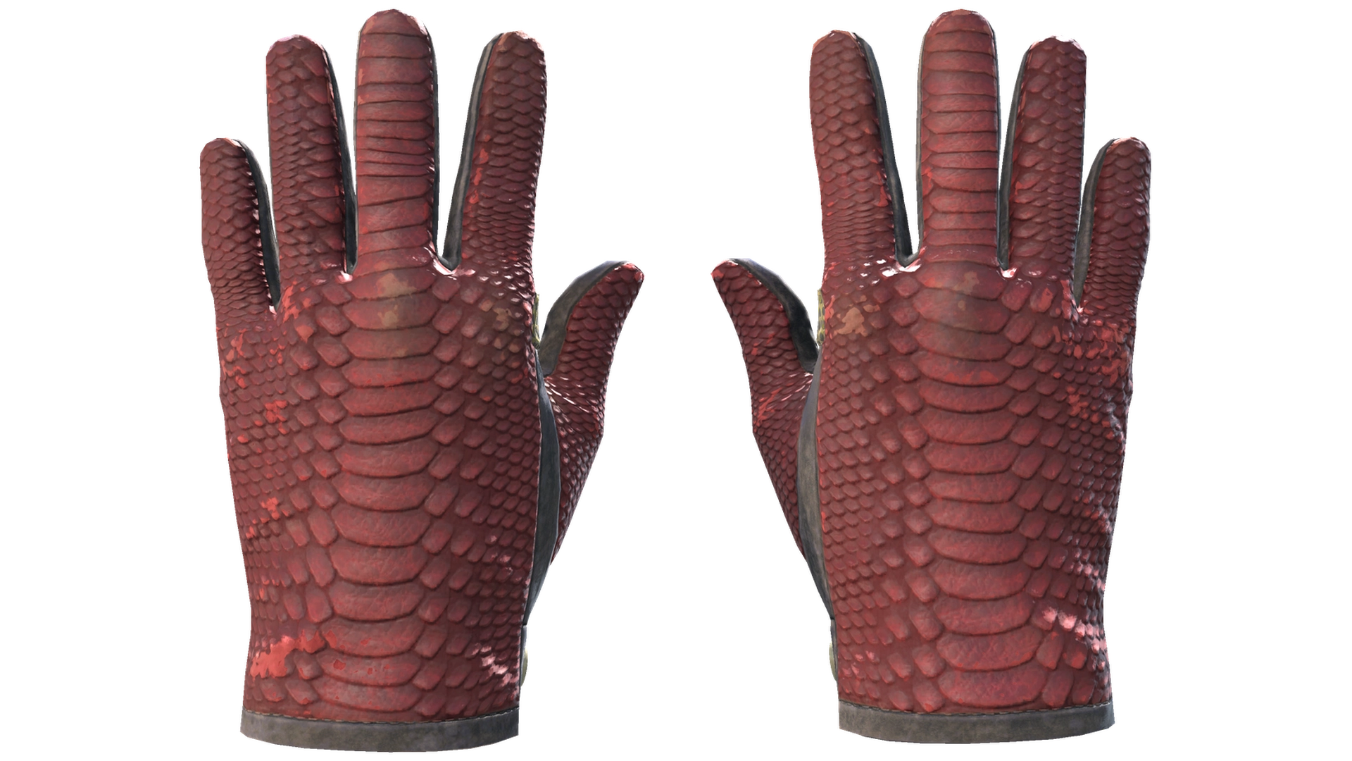 Dragon Fists image