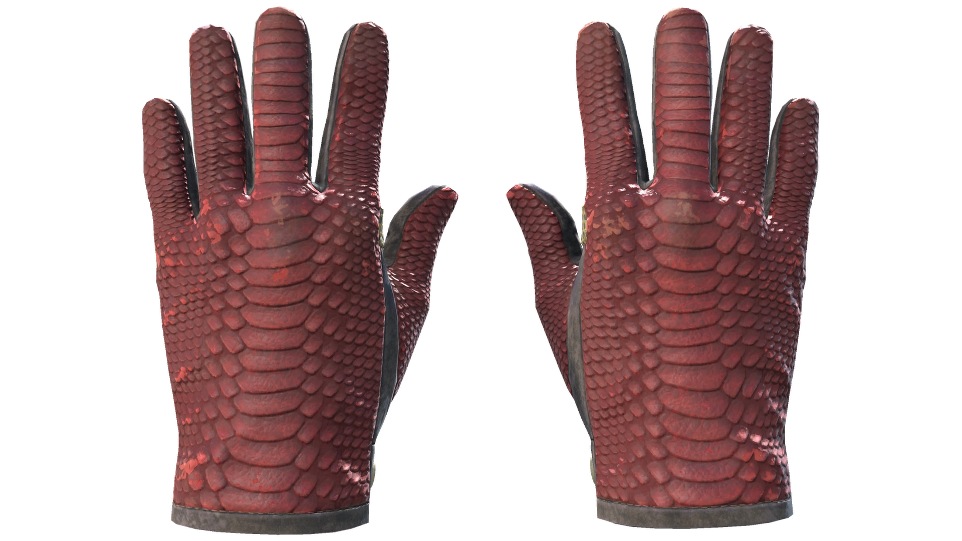 Dragon Fists image