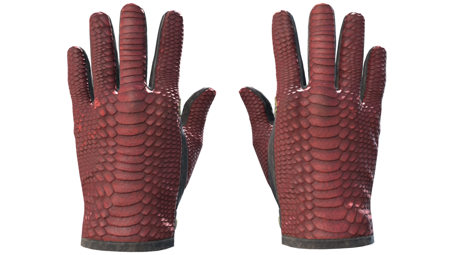 Dragon Fists image