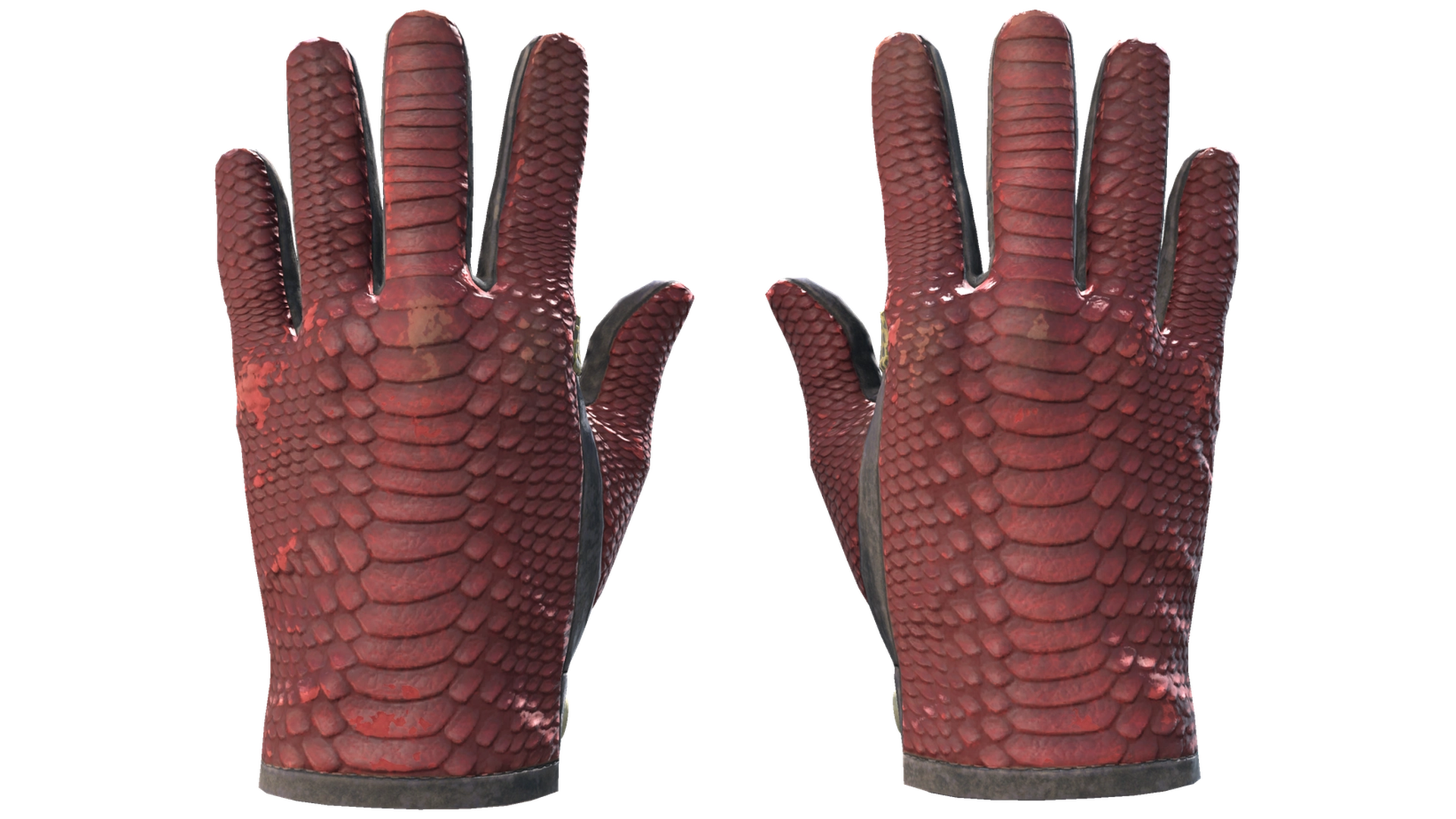 Dragon Fists image