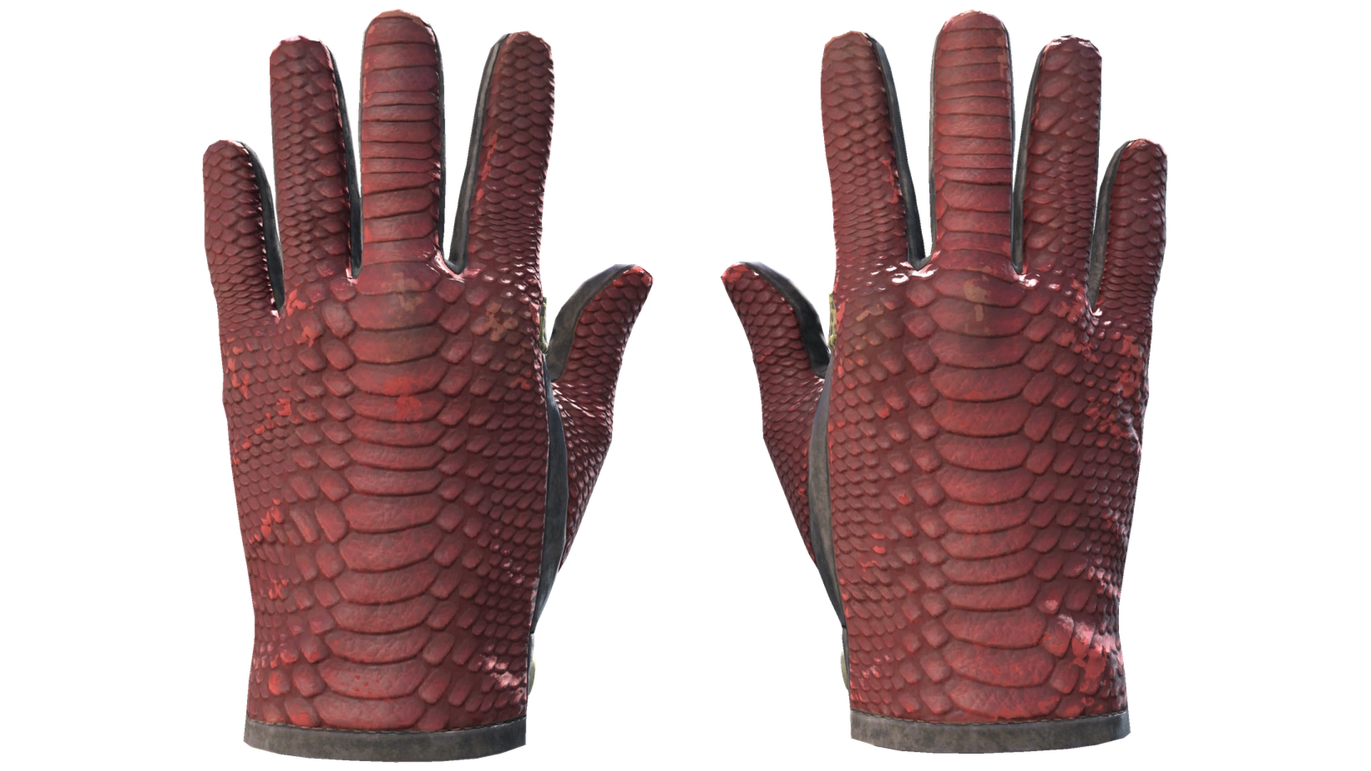 Dragon Fists image