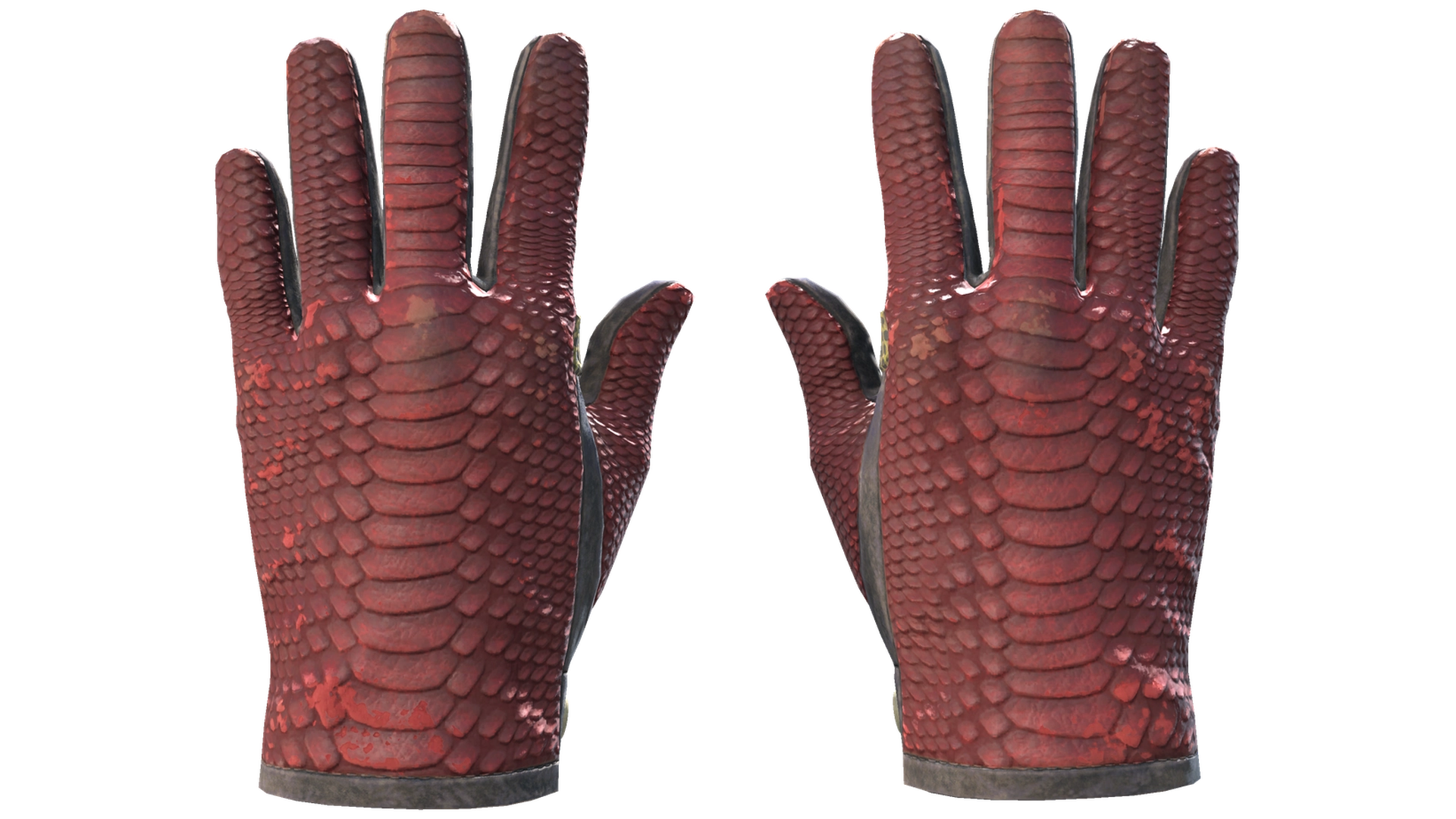 Dragon Fists image