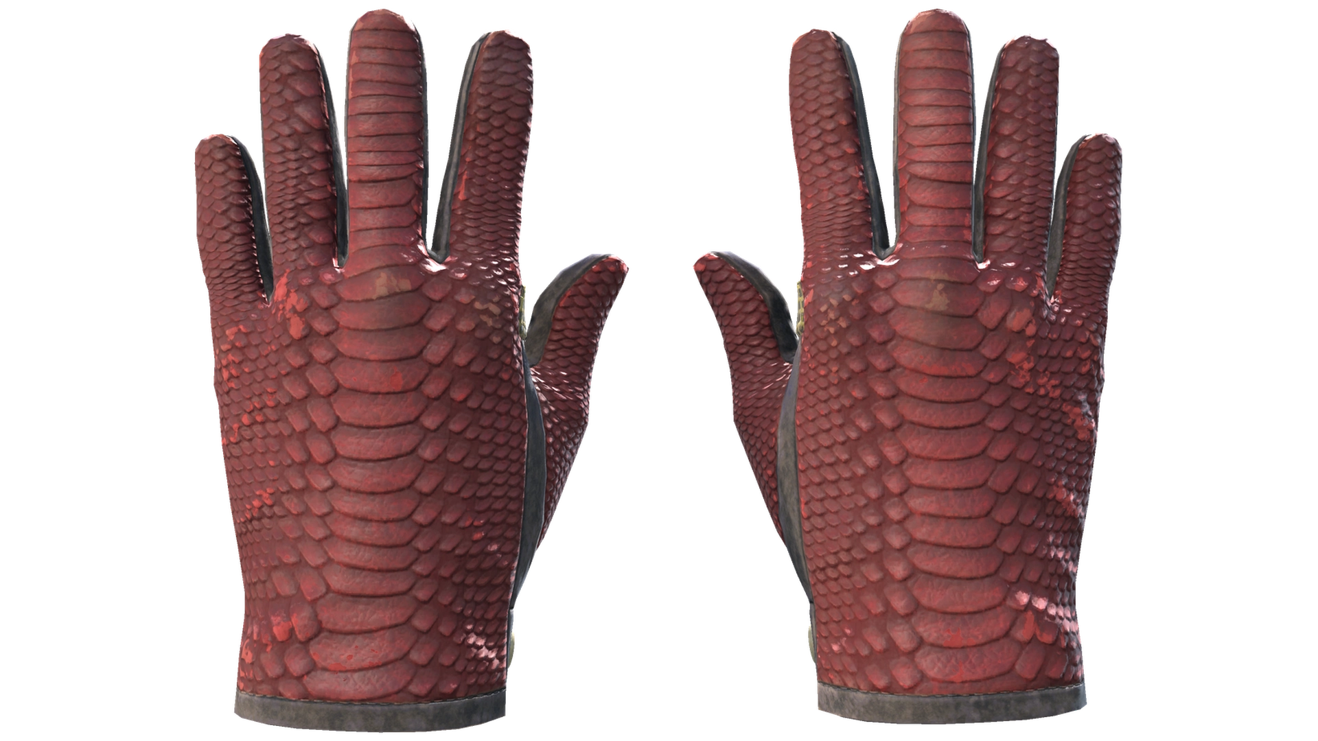 Dragon Fists image
