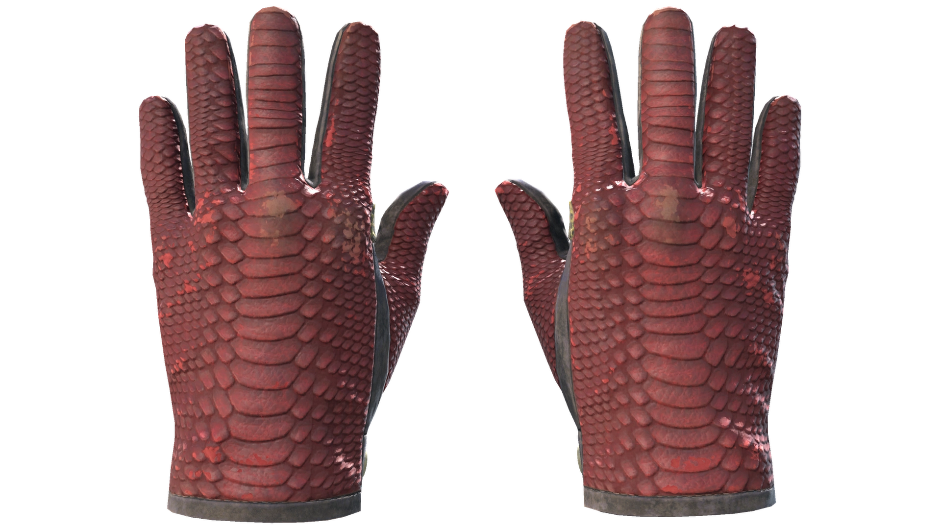 Dragon Fists image