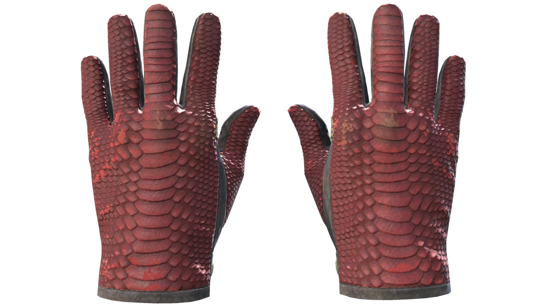 Dragon Fists image