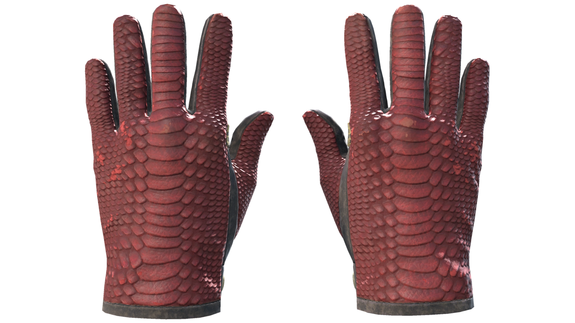 Dragon Fists image