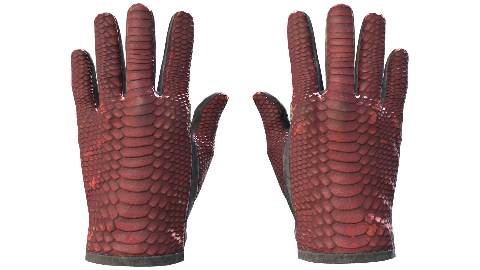 Dragon Fists image