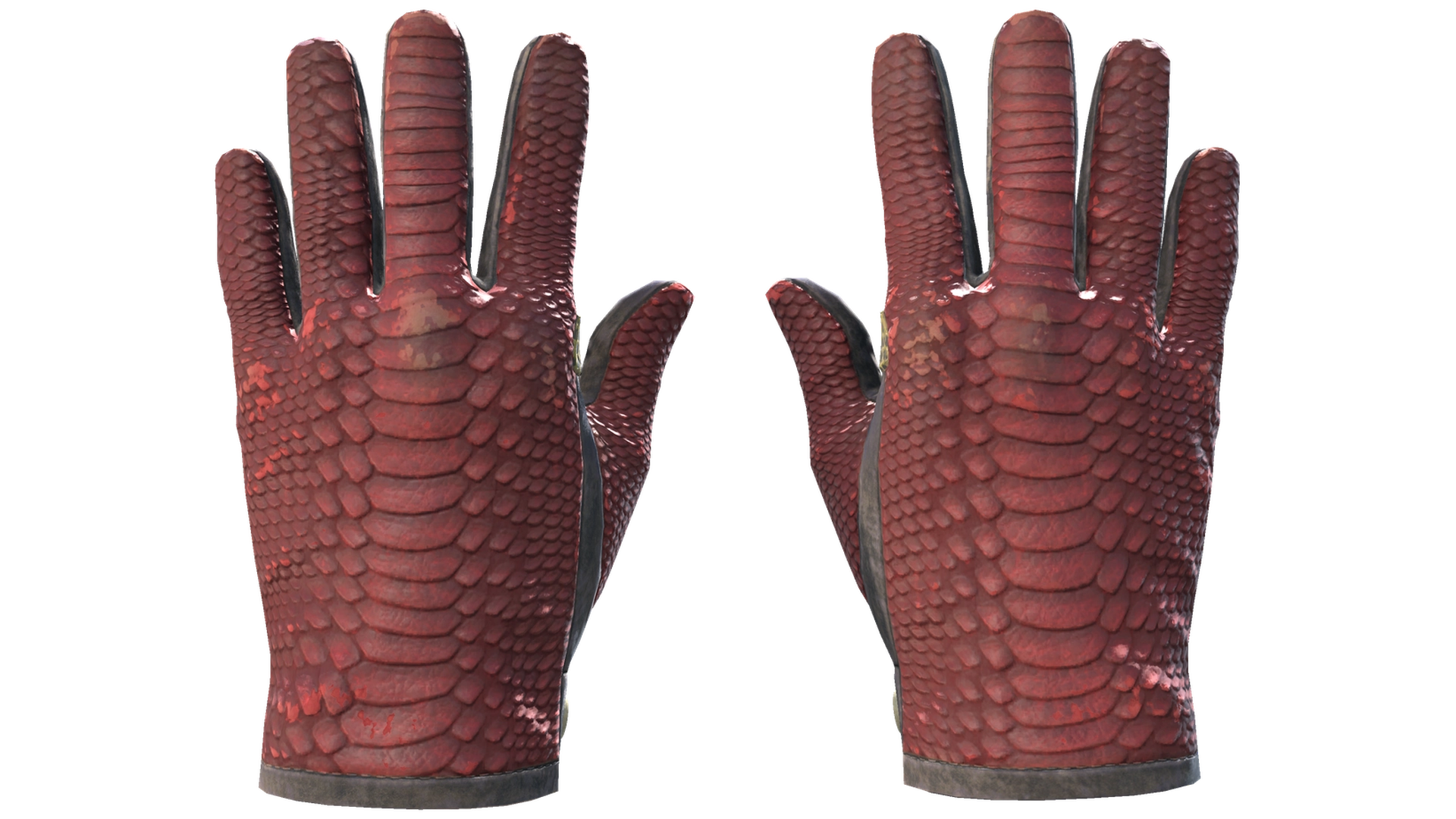 Dragon Fists image