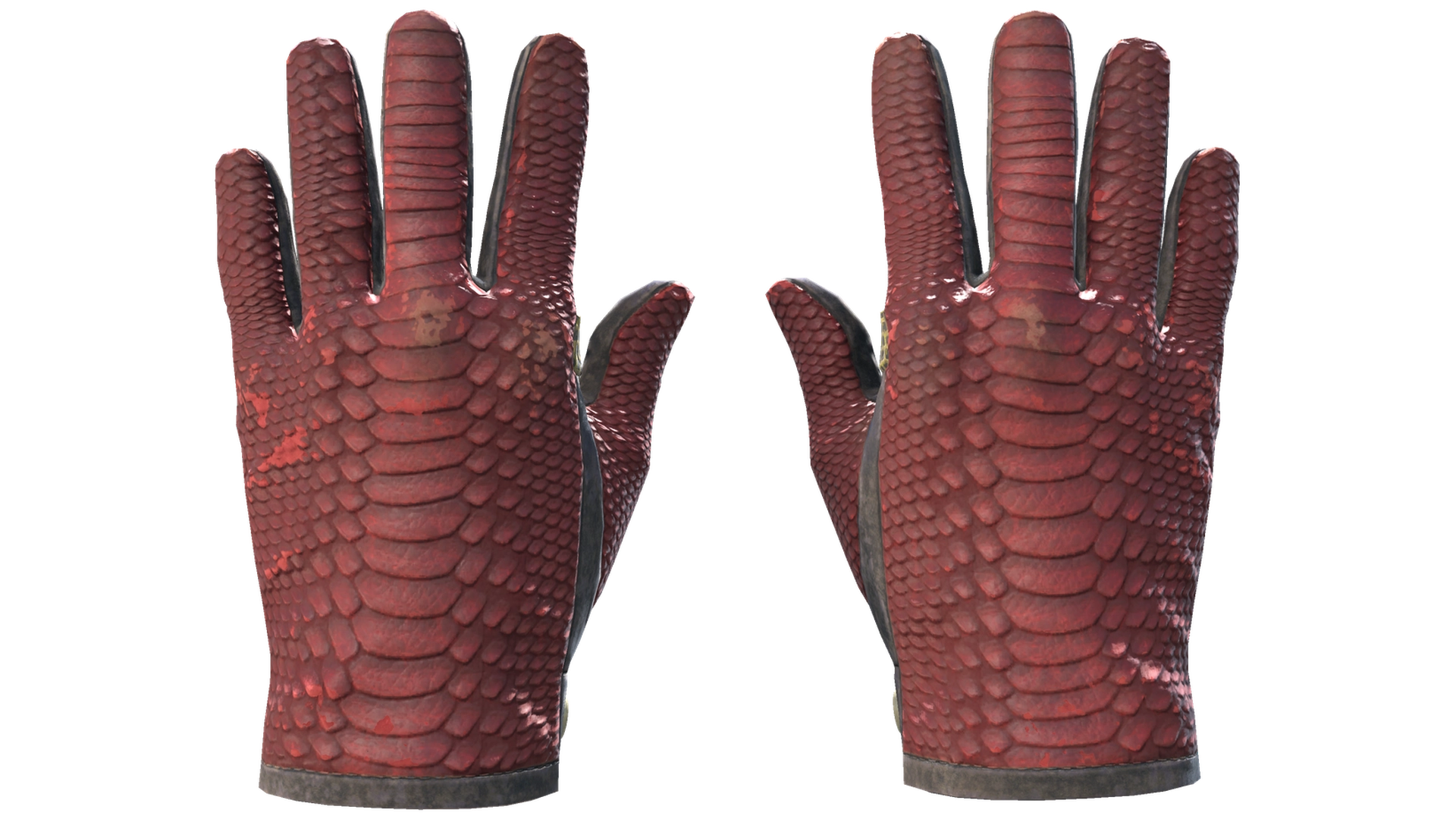 Dragon Fists image
