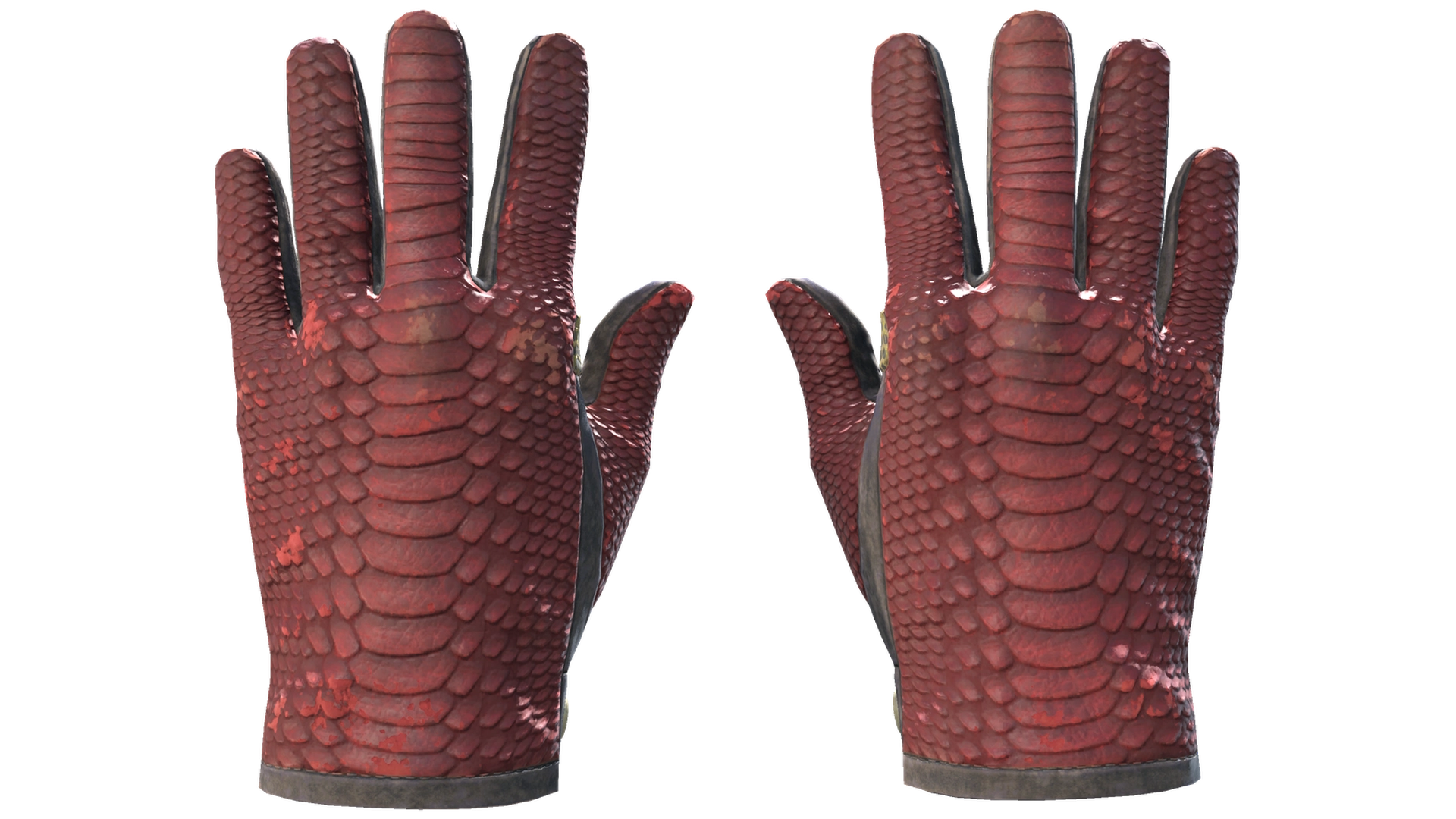Dragon Fists image