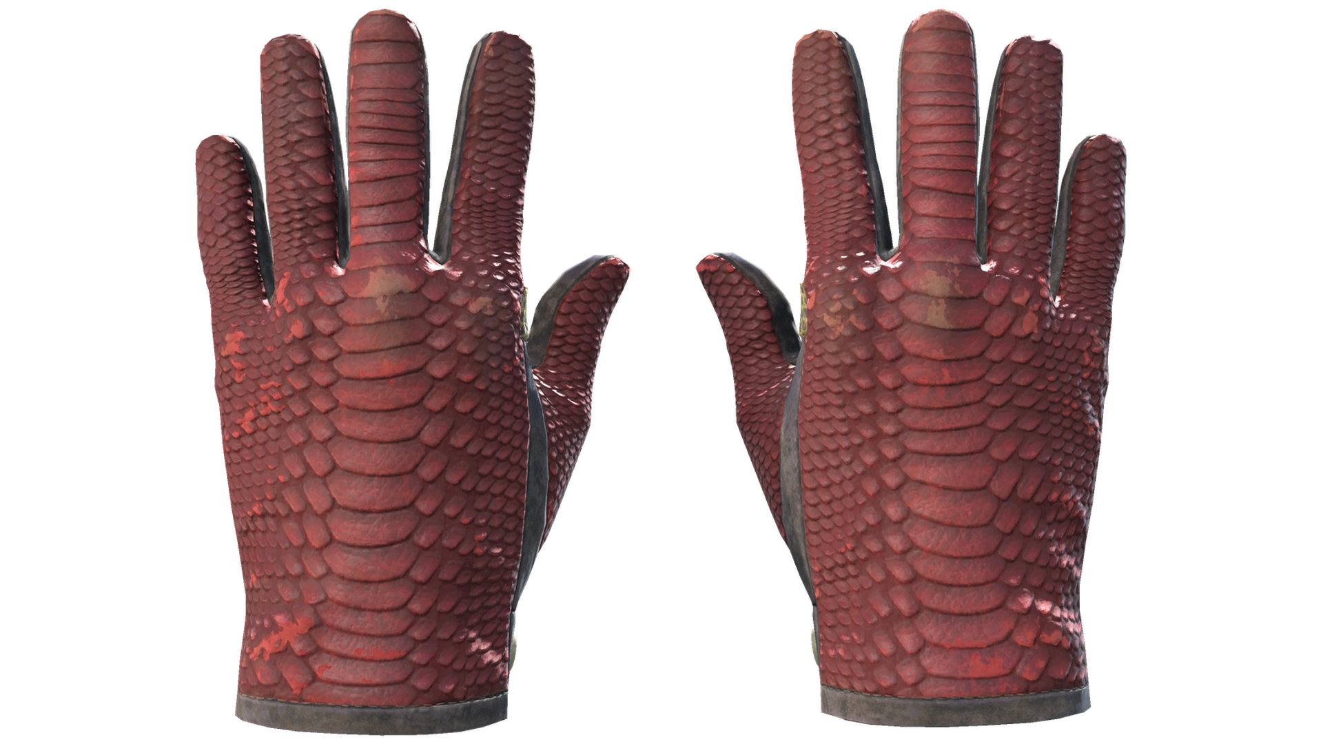 Dragon Fists image