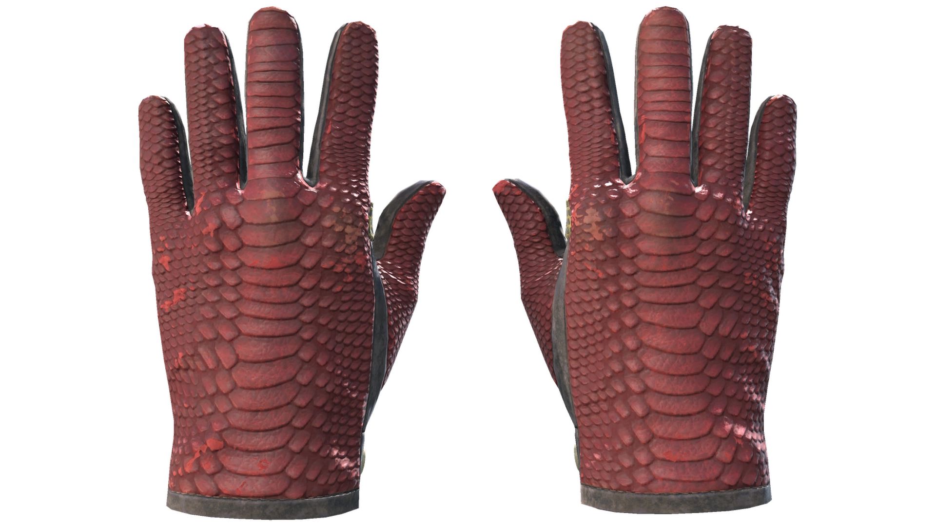 Dragon Fists image