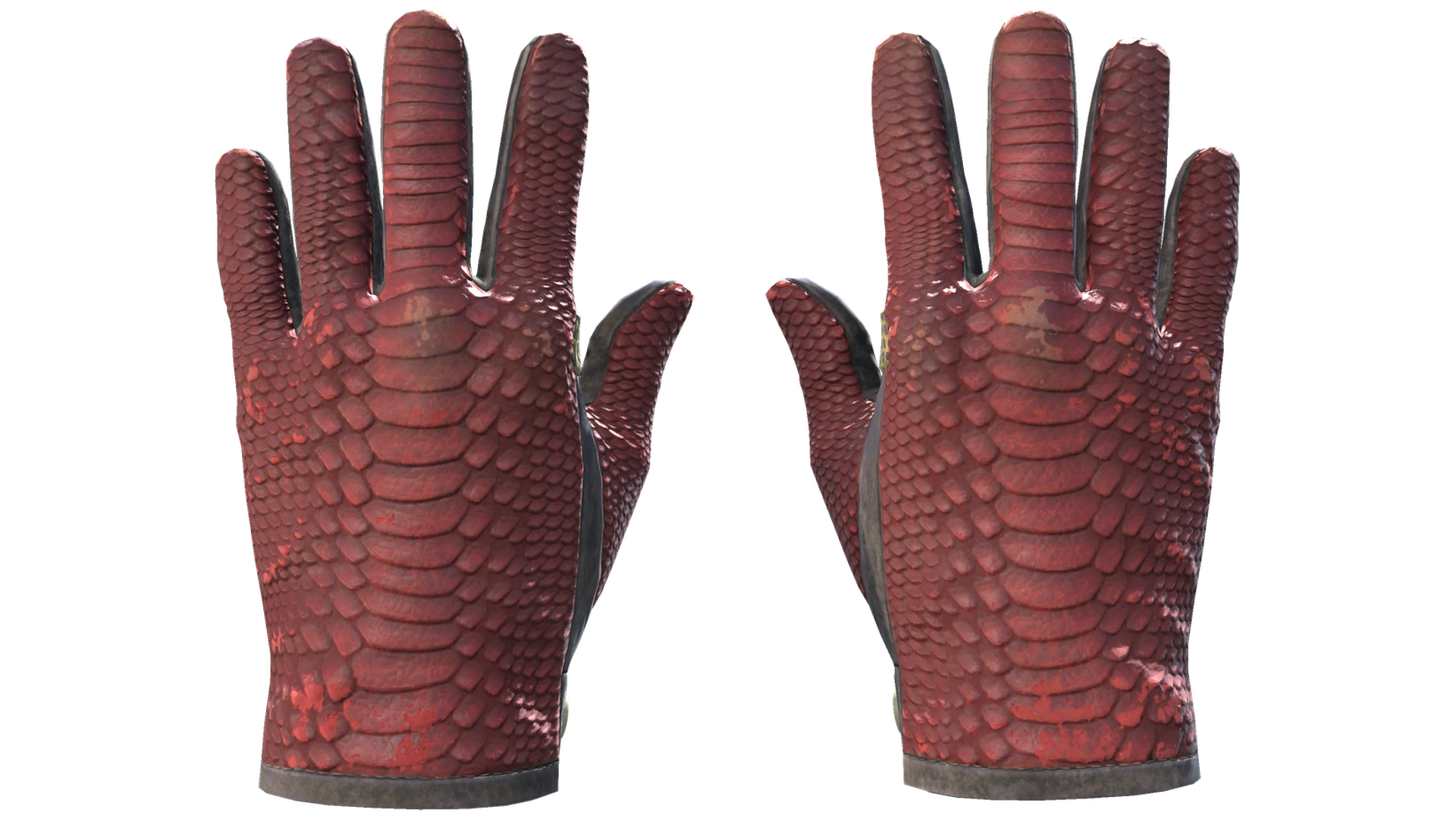 Dragon Fists image