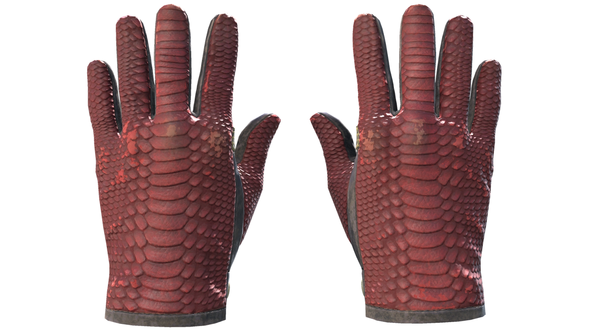 Dragon Fists image