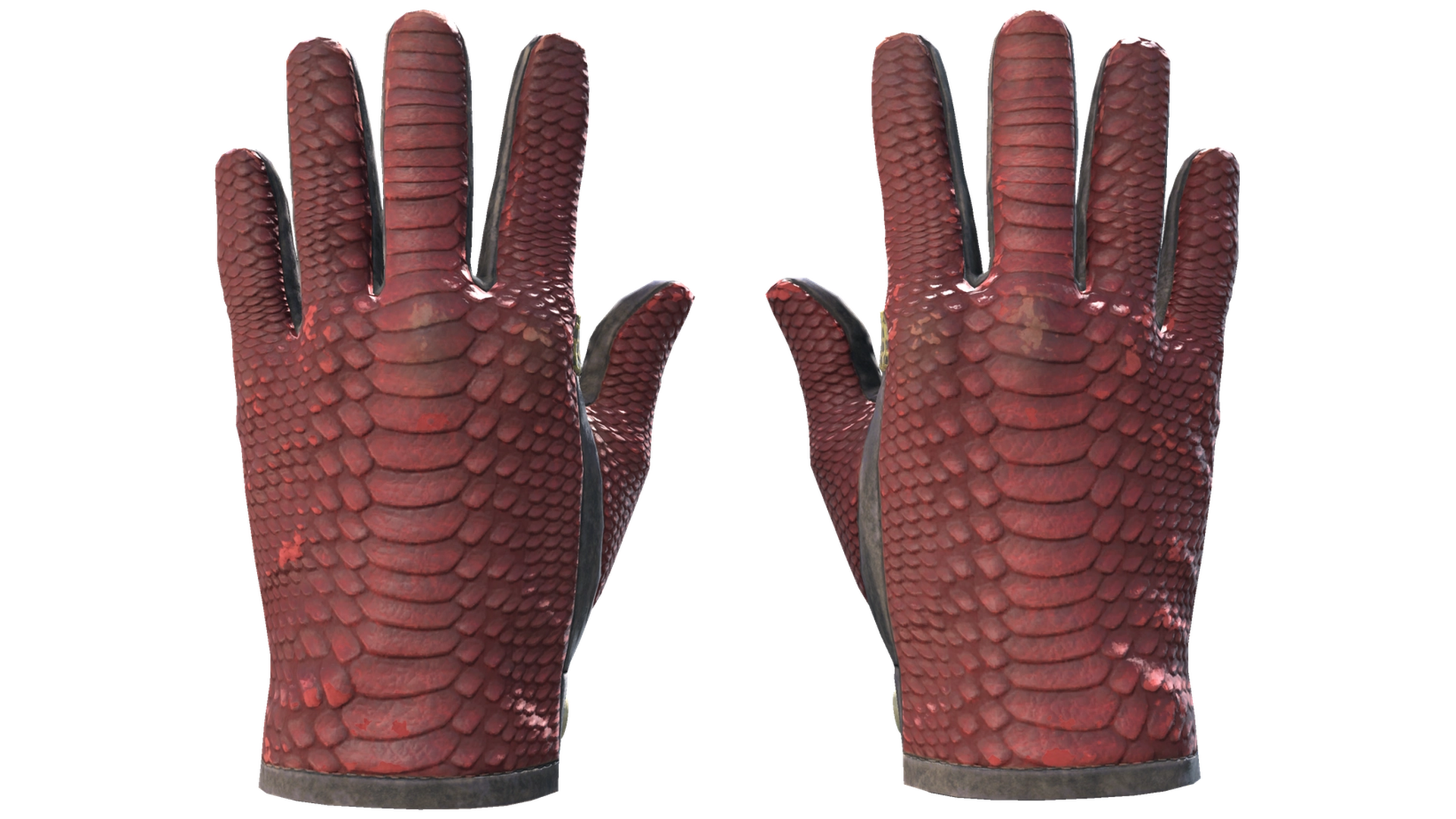 Dragon Fists image