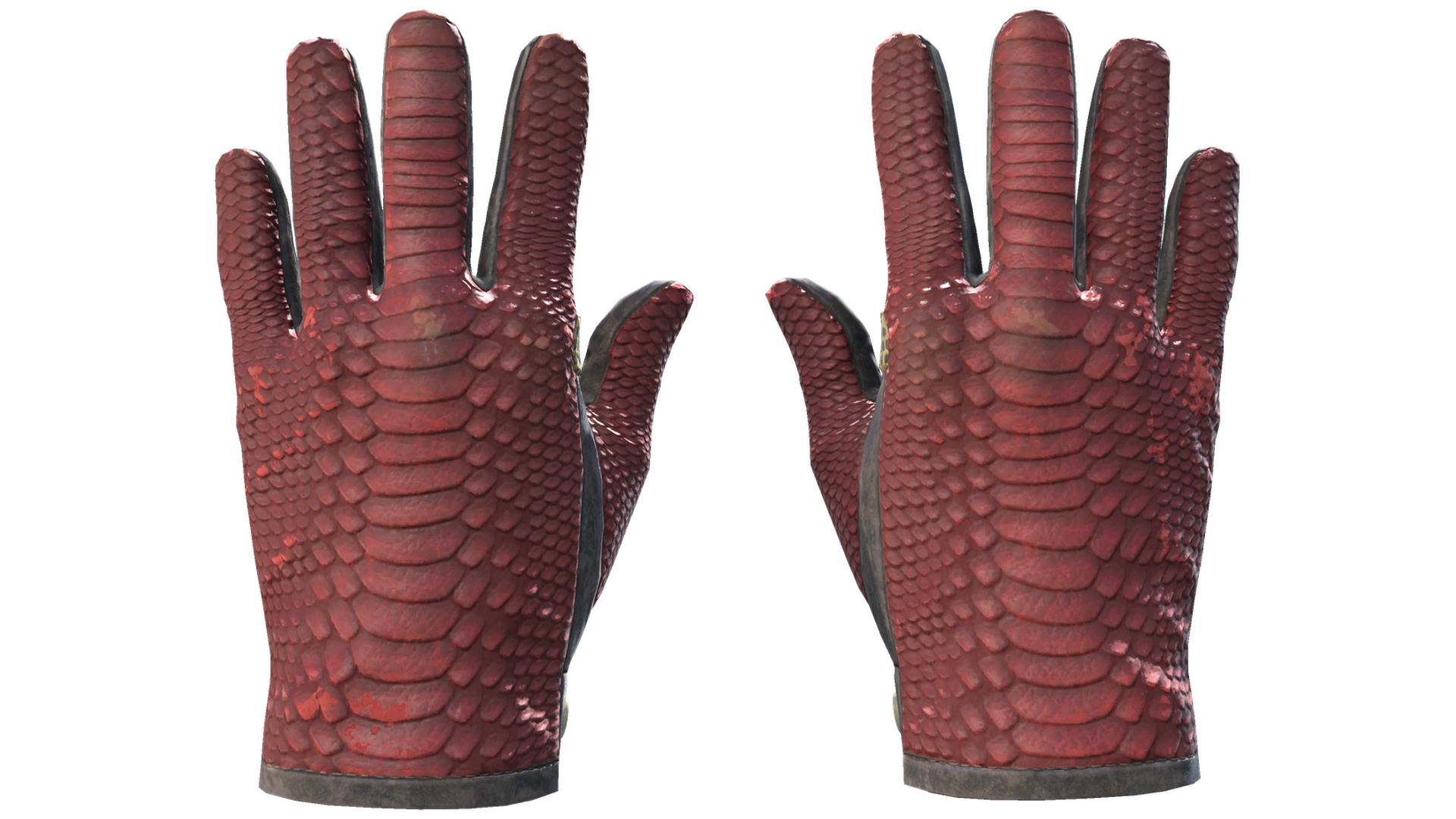 Dragon Fists image