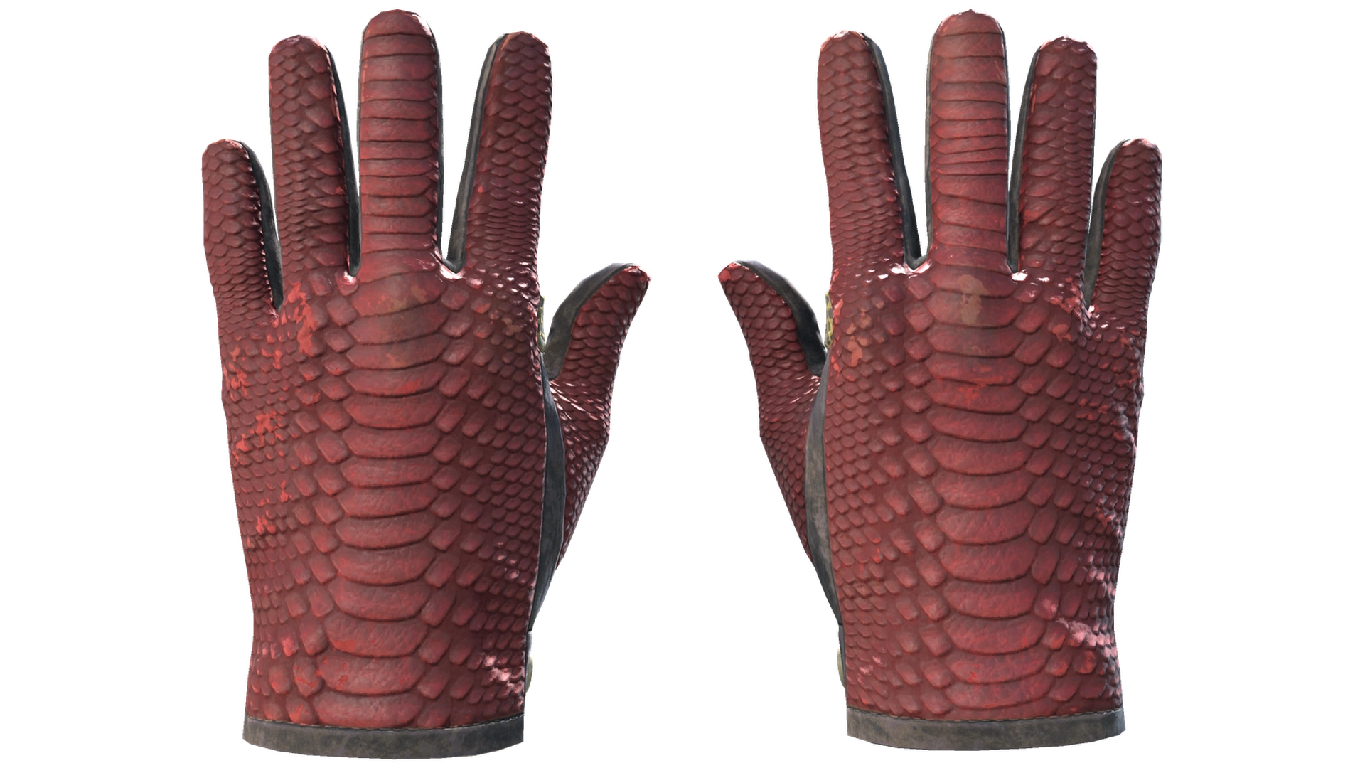 Dragon Fists image