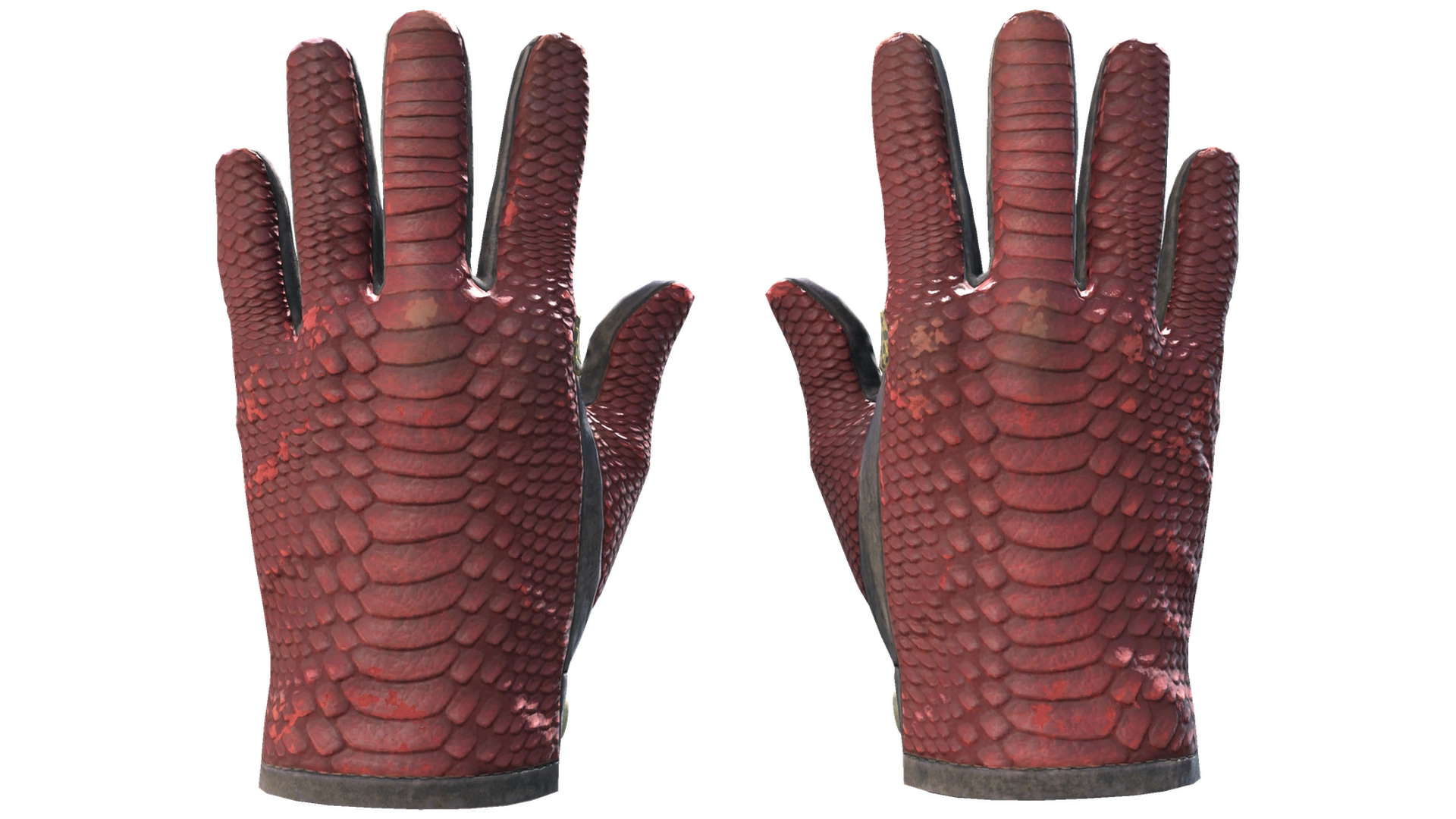 Dragon Fists image