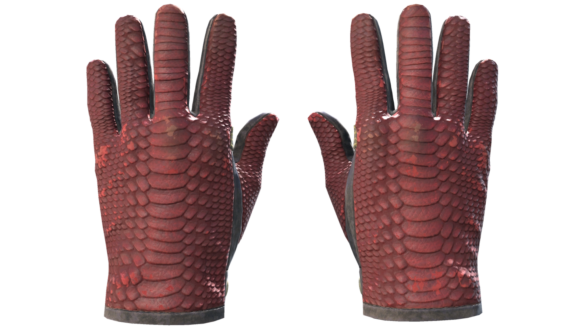 Dragon Fists image