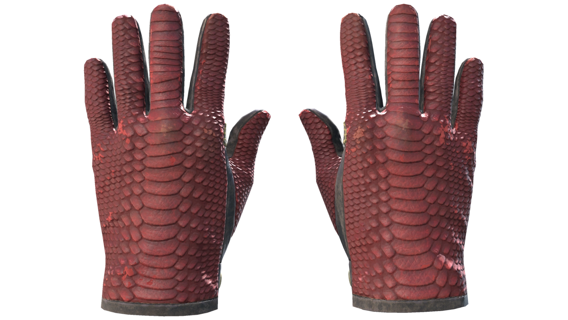 Dragon Fists image