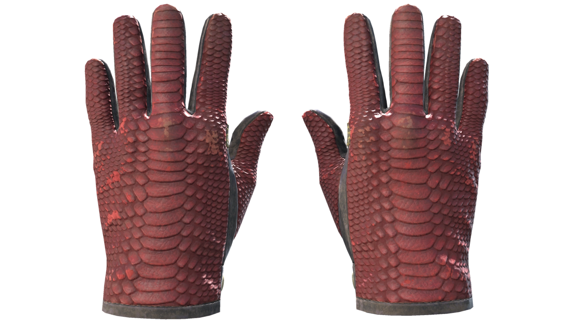 Dragon Fists image