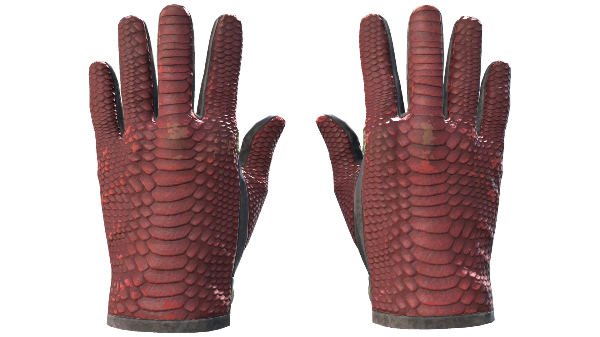 Dragon Fists image