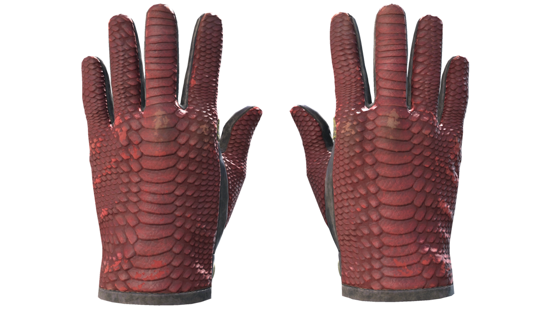 Dragon Fists image