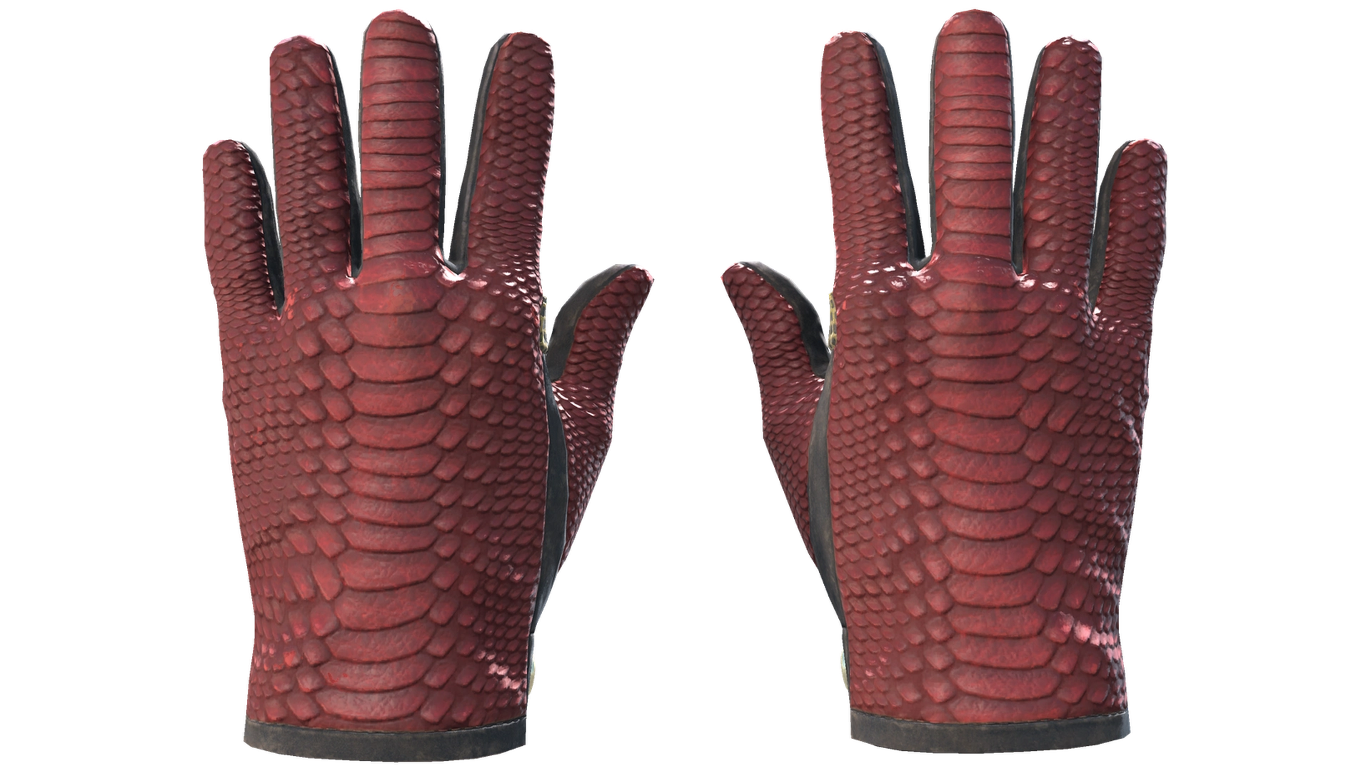 Dragon Fists image