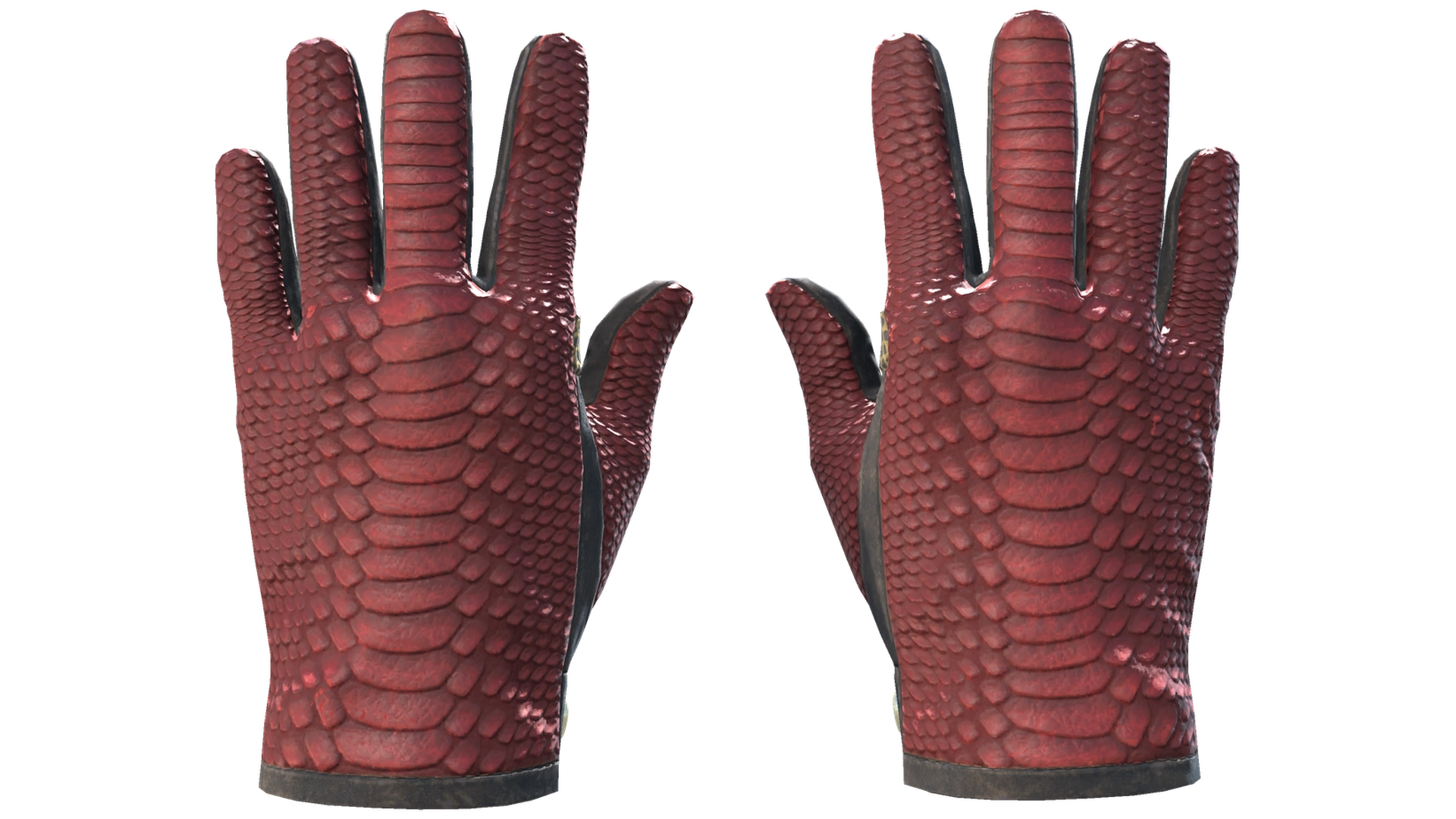 Dragon Fists image