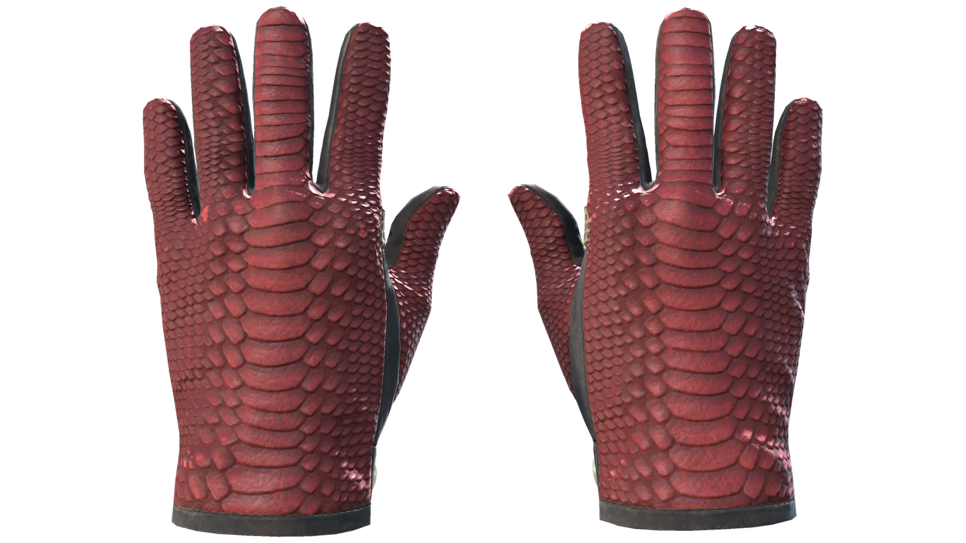 Dragon Fists image