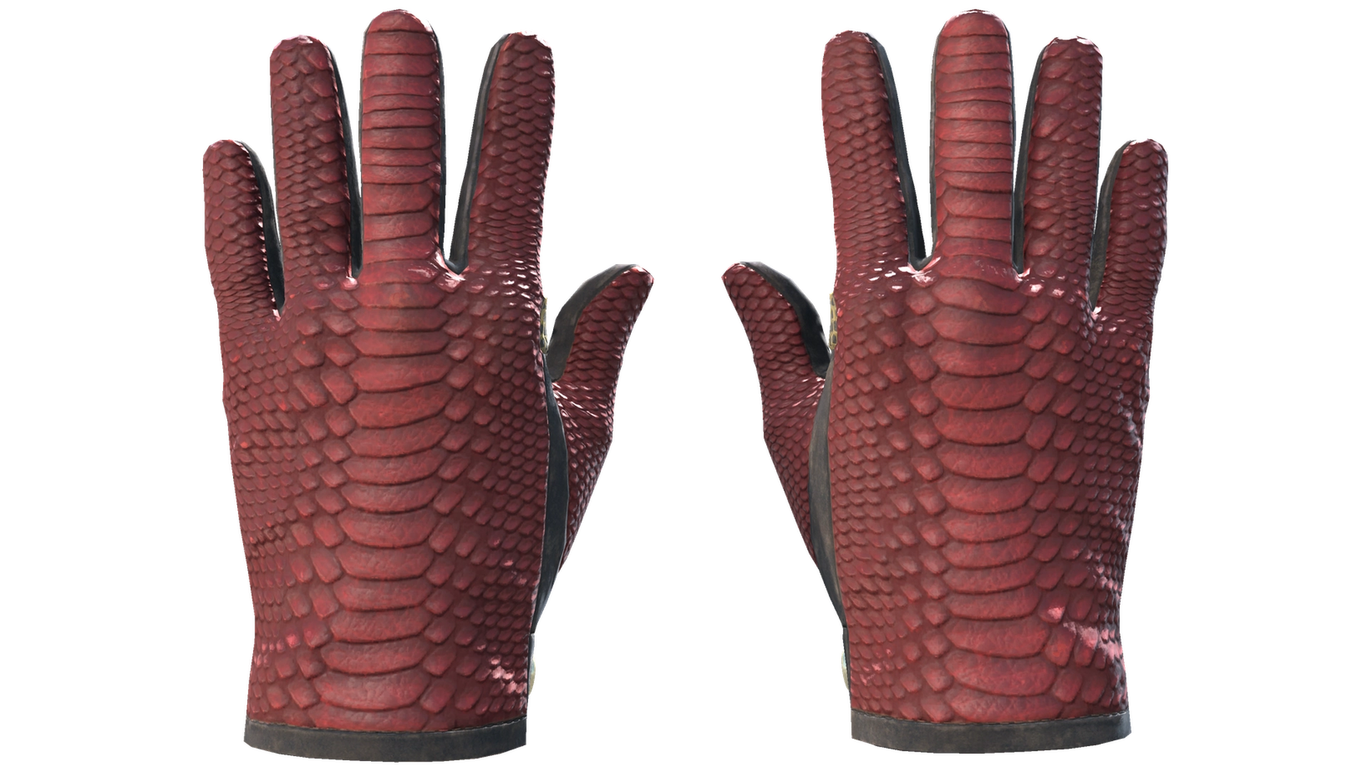 Dragon Fists image