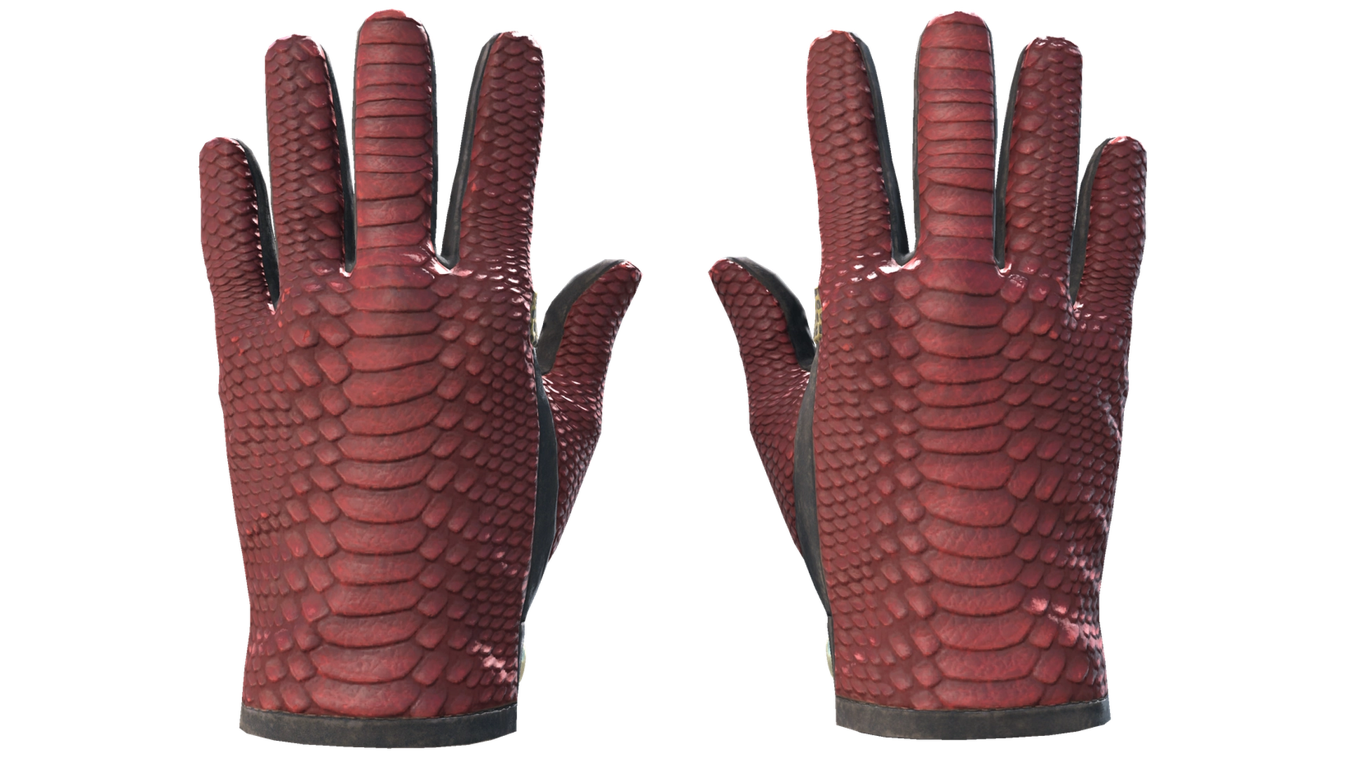 Dragon Fists image