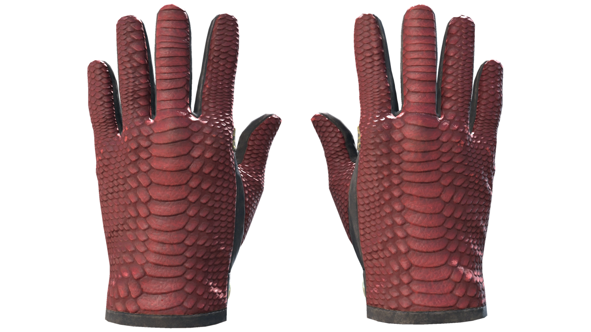 Dragon Fists image