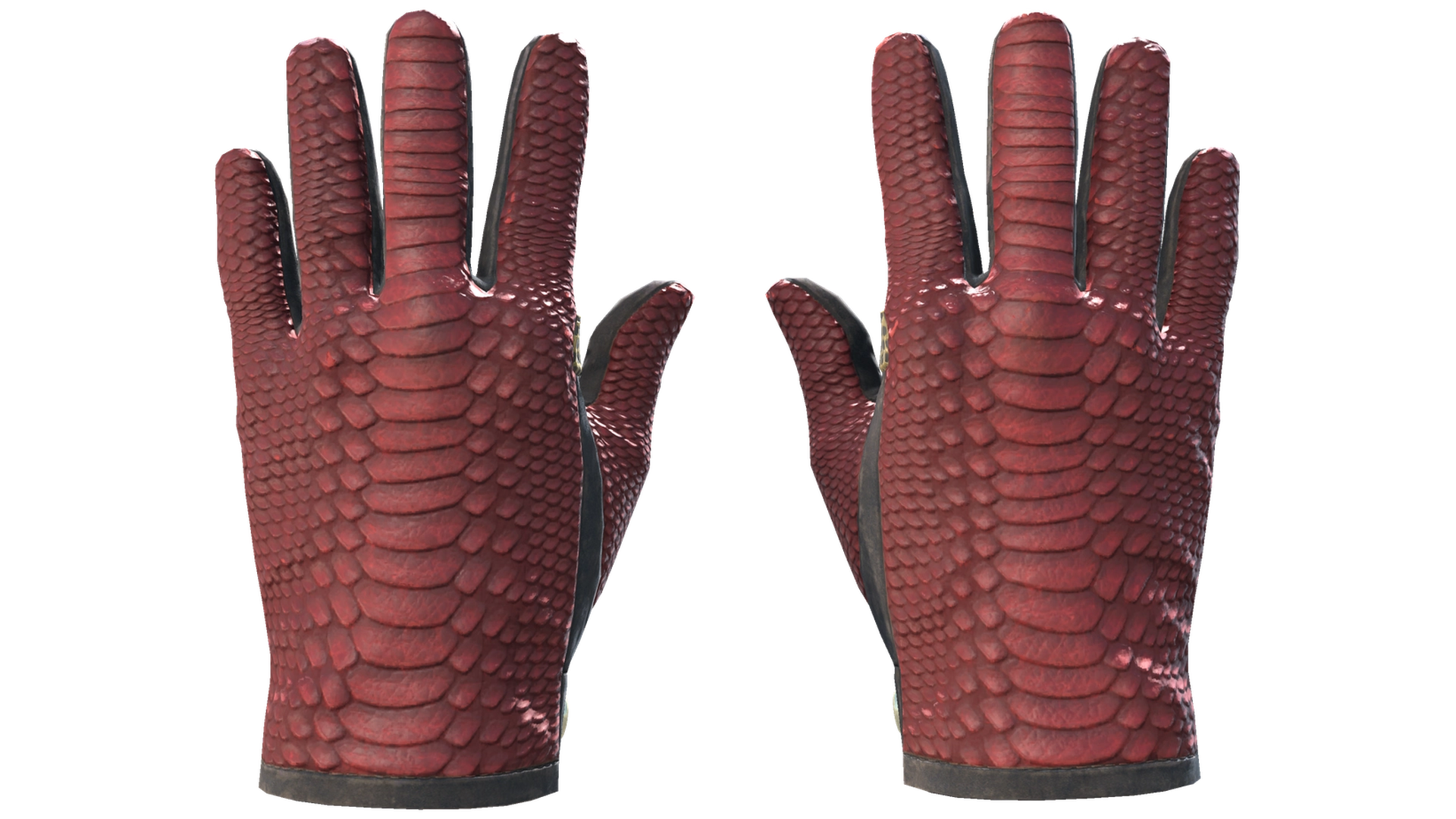 Dragon Fists image