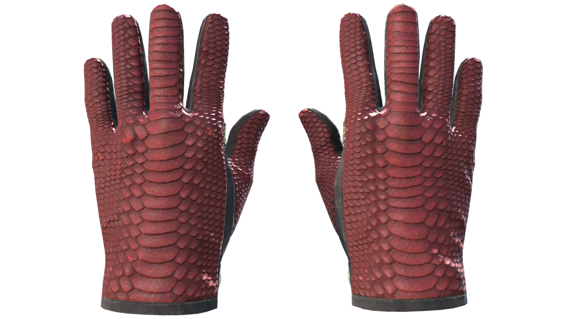 Dragon Fists image