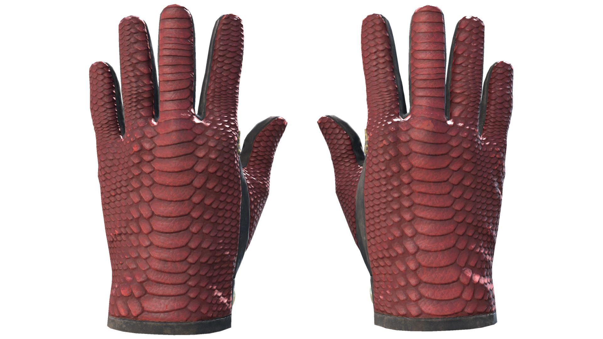 Dragon Fists image